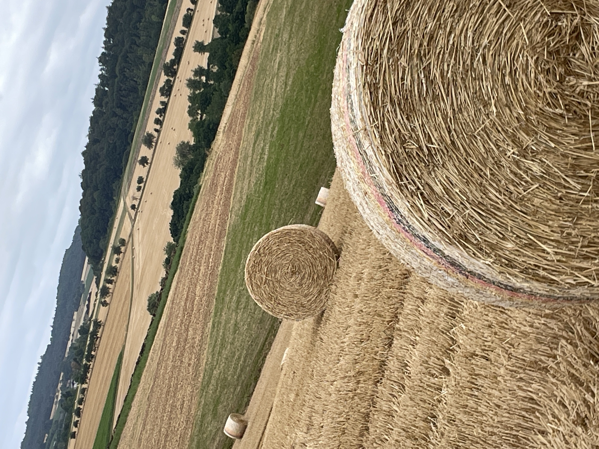 A wide, high-angle shot captures a rural landscape in Asterode, Germany, on a cloudy day. The foreground is dominated by a large, round hay bale, its dry, straw-colored material tightly wound. To the left and slightly further back, a second, smaller hay bale stands upright on a field of harvested grain. Further into the middle ground, green fields are interspersed with golden fields, some of which also contain hay bales. A line of trees borders the fields, and beyond them, rolling hills covered in dark green forest stretch towards the horizon. The sky is overcast with muted gray clouds.