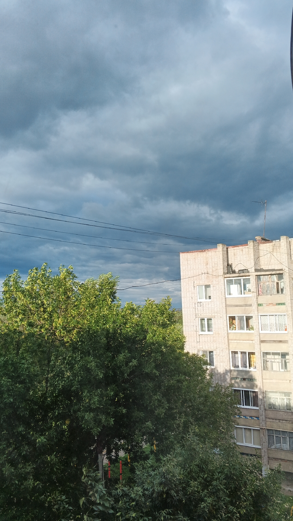 The image depicts a view from a window in Izhevsk, Russia, looking out at a cloudy sky, a large green tree, and a brick apartment building. The sky is filled with dark, dramatic clouds, suggesting an approaching storm or overcast weather. The tree is lush and full of leaves, dominating the left side of the frame. To the right, a multi-story apartment building constructed of light-colored bricks is visible. The building has numerous windows, some of which appear to have curtains or blinds. Power lines are strung across the upper part of the image, adding to the urban scenery. The overall impression is of a residential area under a heavy sky. There are no people visible in the image, and no specific actions or interactions are taking place.