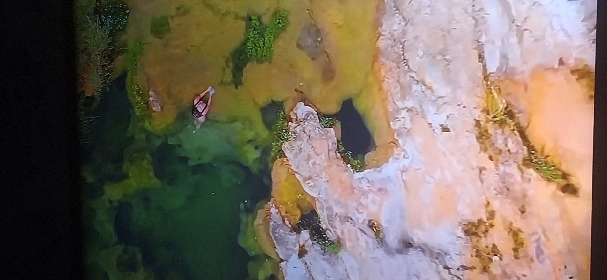 The image is an aerial view of a natural body of water, likely a river or lake, with a person floating on their back in the water. The water is a murky green color, with areas of lighter green algae or sediment. The surrounding area is rocky and sandy, with some sparse vegetation. The person appears to be wearing a dark swimsuit with pink accents. The image does not provide any information about the city of Bila Tserkva, Ukraine, or any specific location within it.