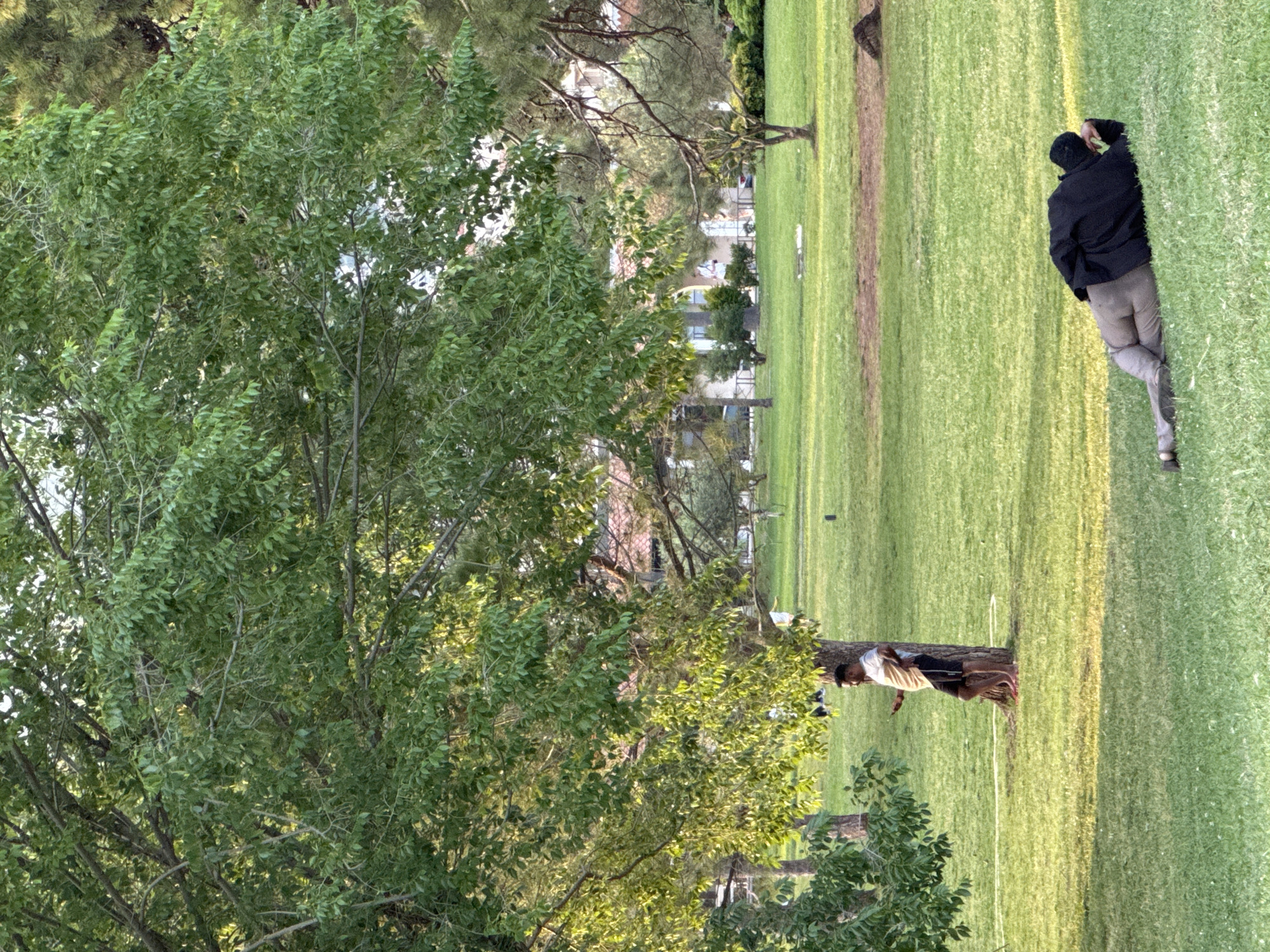 A park scene unfolds on a sunny day. Predominantly green grass stretches across the landscape, lined with trees in the background and foreground. Two people stand by a tree to the lower right. One person is wearing a white shirt and dark shorts and appears to be resting against the tree trunk. The second person is behind and to the left. Near the upper right, a man in a black jacket and grey pants is lying down on the grass. In the background, structures that look like buildings can be seen. The location of the image is most likely in the city of Budva, Montenegro.