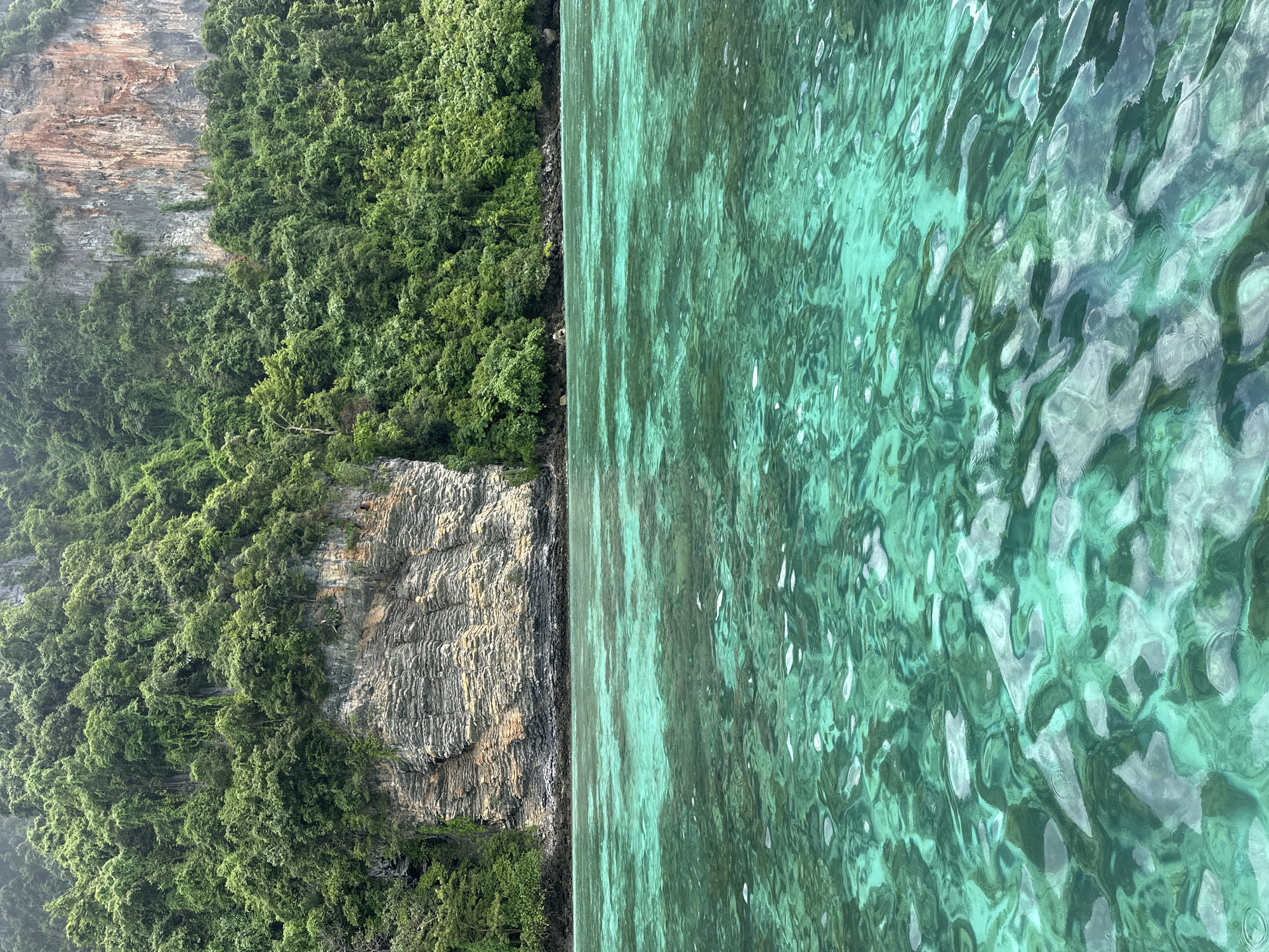 The image shows a tropical coastline with lush green vegetation covering a steep, rocky cliff face. The water in the foreground is a clear, vibrant turquoise, with visible ripples and the suggestion of underwater topography. The cliff is striated with layers of rock in shades of grey, tan, and rust. A dense canopy of trees and vines grows on the upper slopes of the cliff, obscuring much of the rock face. The scene depicts a natural, undeveloped landscape, characteristic of the coastal areas of Haad Hin Khom, Thailand. There are no people or man-made structures visible in the image.