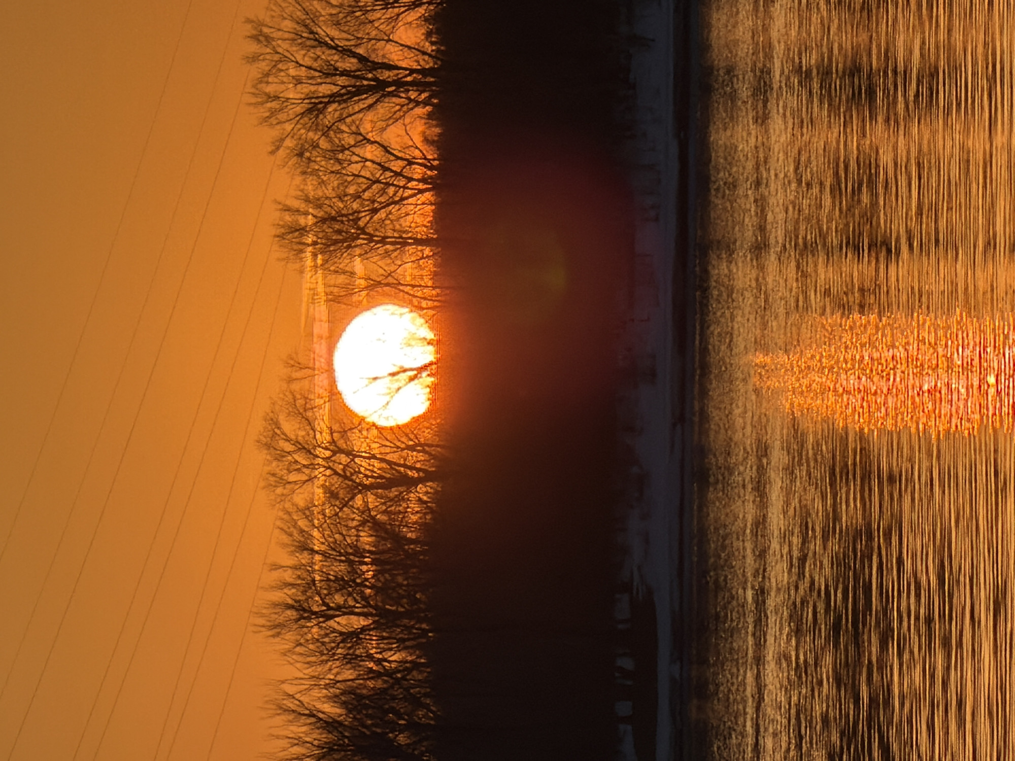 The image depicts a sunset over water. A row of bare trees stands between the viewer and the setting sun. Power lines are visible in the sky to the left. The water reflects the golden light of the sunset. The location is the city of Chaikovsky, Russia.