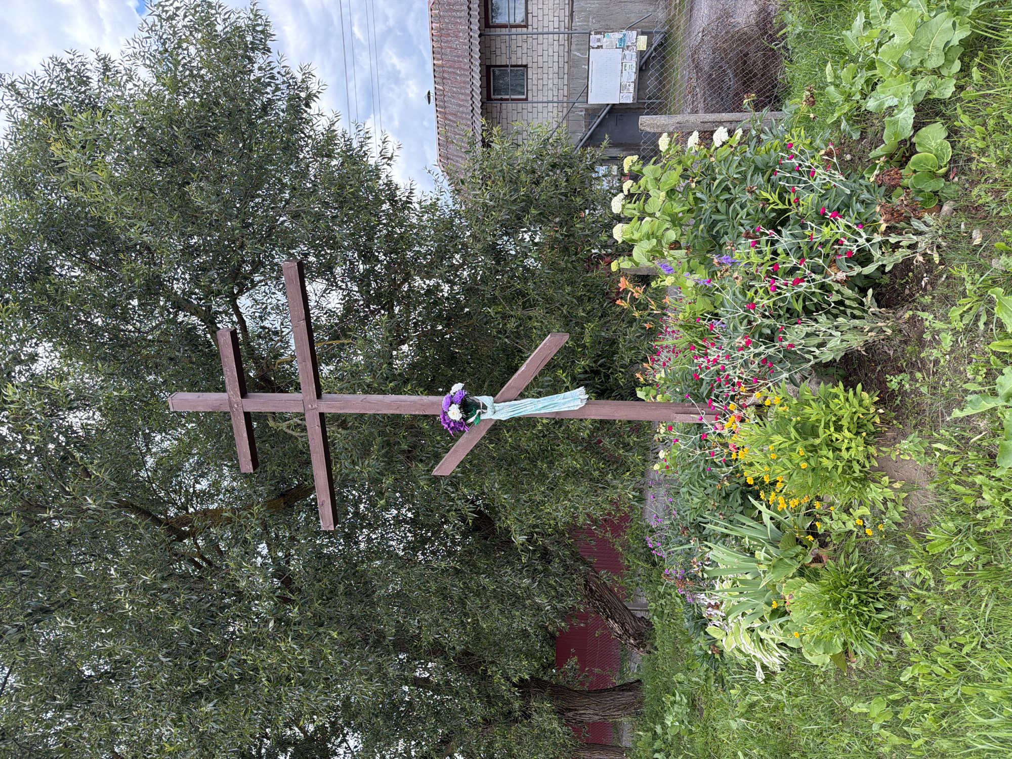 A brown, wooden Orthodox cross stands in a garden bed filled with various flowers. The cross has a horizontal beam slightly above the center and a shorter diagonal beam lower down on the right side. A bouquet of white and purple flowers is tied to the diagonal beam, with a light blue ribbon draped below it. The garden bed contains a mix of green foliage and colorful blossoms, including pink, yellow, and purple flowers. Behind the cross and garden, a large tree with dense green foliage dominates the left side of the frame. To the right of the tree and cross, a two-story brick building with a grey roof is visible. A chain-link fence runs along the right edge of the image, separating the garden area from a gravel path and the building. The ground is covered in grass. The scene appears to be outdoors in a rural or suburban setting, likely within the locality of Папярнянскі сельскі Савет, Belarus.