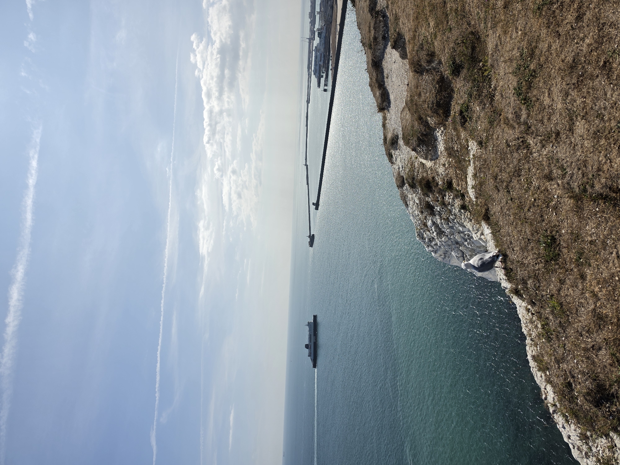 A high-angle, medium shot captures a view from the White Cliffs of Dover, United Kingdom, looking out over the English Channel on a clear, sunny day with a few wispy clouds and contrails in the sky. In the foreground, a brown, grassy clifftop slopes down, with a white-feathered seagull standing on the edge, facing left. The sea, a deep turquoise color, is textured with small ripples. Further out, a large white ferry with "P&O" visible on its side travels from left to right. In the distance, a long, dark breakwater stretches into the sea, protecting the port of Dover, where several other ferries and structures are visible. The scene is serene and picturesque, showcasing the iconic natural beauty of Dover.