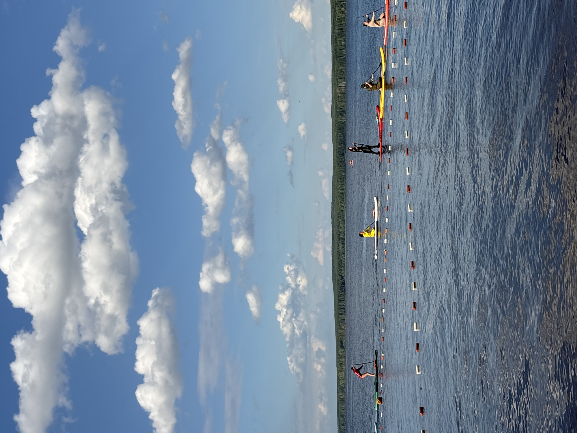 This image depicts a picturesque scene on the Kama River in Chaikovsky, Russia, under a bright blue sky dotted with fluffy white clouds. A line of individuals are engaged in stand-up paddleboarding, their colorful boards creating a vibrant contrast against the deep blue water. The paddleboarders are spaced out, each focused on their activity, paddling across the calm surface of the river. The background features a dense, dark green forest lining the distant shore, suggesting a natural and serene environment. A buoys mark a section of the river, possibly indicating a designated area for water activities. The overall atmosphere is one of peaceful recreation and enjoyment of the outdoors.