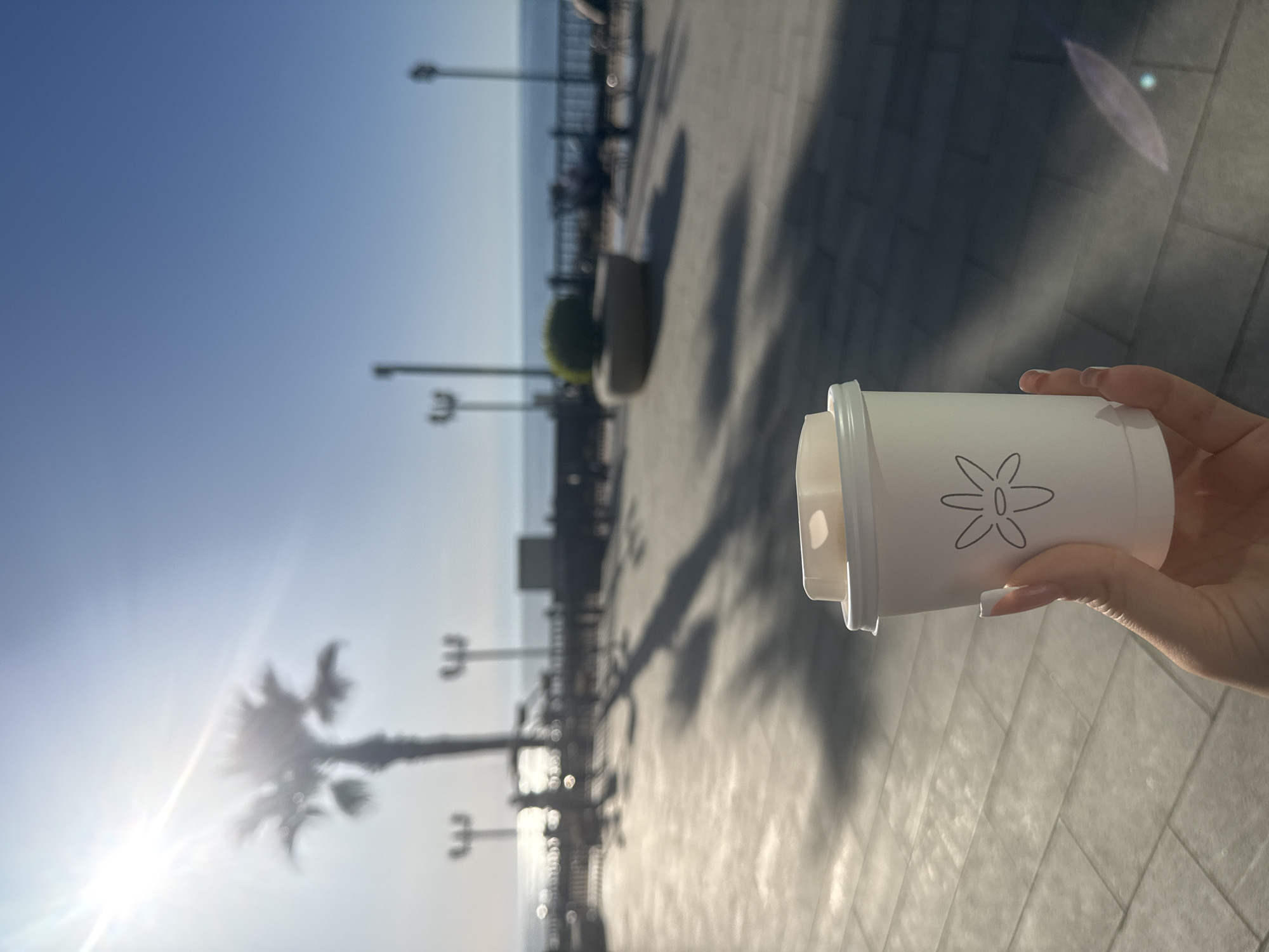 This bright, sun-drenched image, likely taken in Batumi, Georgia, captures a person's hand holding a white disposable cup against an outdoor coastal backdrop. The hand, with neatly manicured light-colored nails, is positioned in the lower right foreground, holding the cup which features a simple, stylized flower-like logo in black outline.
The background depicts a paved promenade or walkway stretching into the distance. Long, distinct shadows are cast across the light-colored paving, suggesting the sun is at a relatively low angle, indicating either morning or late afternoon. To the left, a strong sun flare emanates from behind the silhouette of a palm tree, highlighting the clear, sunny weather.
Along the promenade, a dark metal railing separates the walkway from a calm body of water, likely the sea, which stretches to the horizon under a clear blue sky. Several lampposts are visible along the railing, receding into the background. A small, round green bush in a pot is also visible on the promenade. The overall scene conveys a relaxed and pleasant atmosphere, characteristic of a sunny day by the coast. No explicit text is visible on the cup, only the graphical logo.