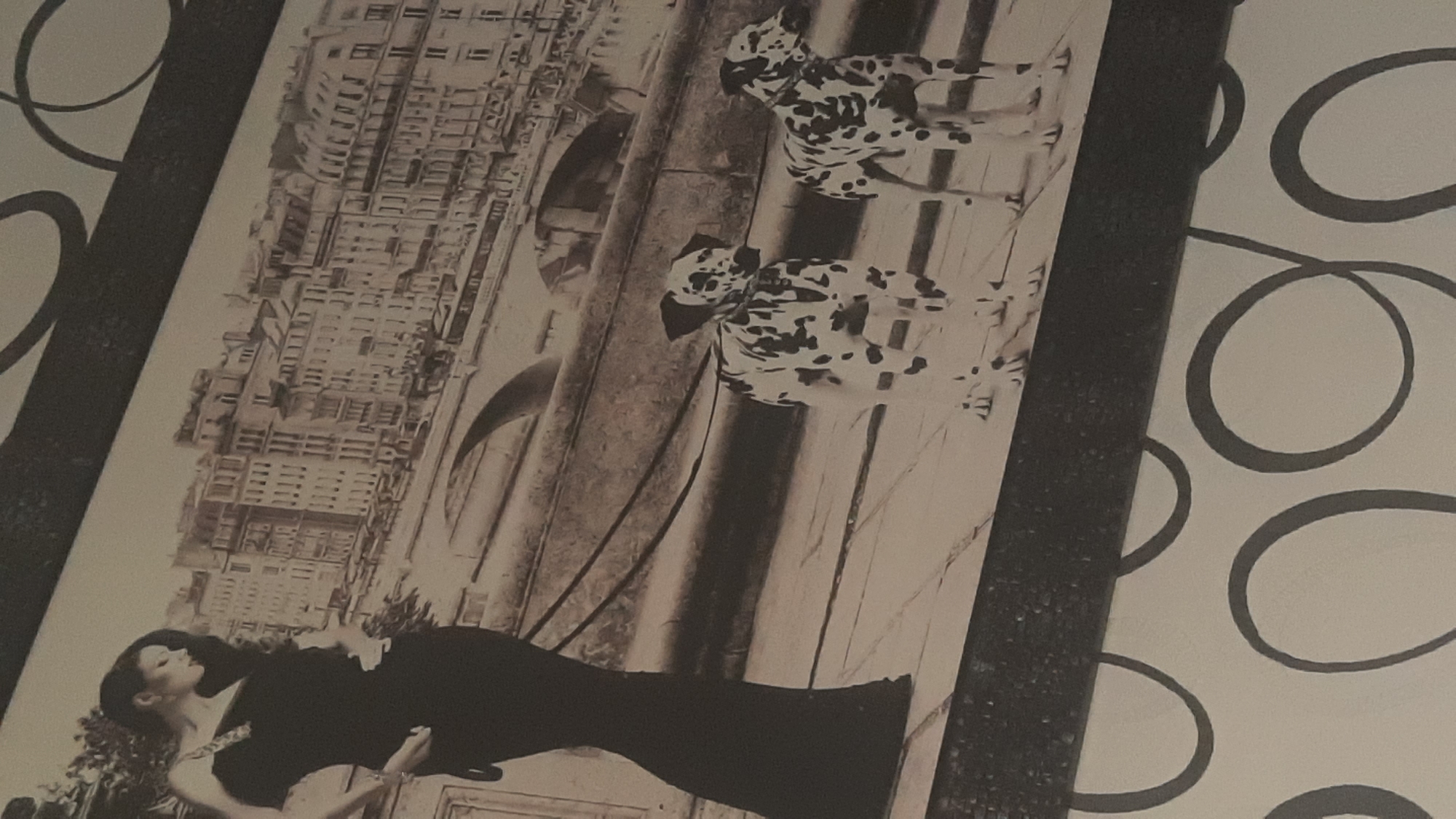 The image displays a black and white, stylized depiction of a woman in a long, dark gown walking two Dalmatians on leashes. The backdrop is a cityscape with buildings and a bridge, suggesting a European setting, possibly Paris. The style is illustrative or photographic manipulation. The image is framed by a dark border at the top and a patterned wallpaper with large circles at the bottom. The exact location in Шклоў, Belarus, cannot be determined from the visual information provided, as the scene depicted is generalized and does not contain any specific landmarks identifiable with that city.