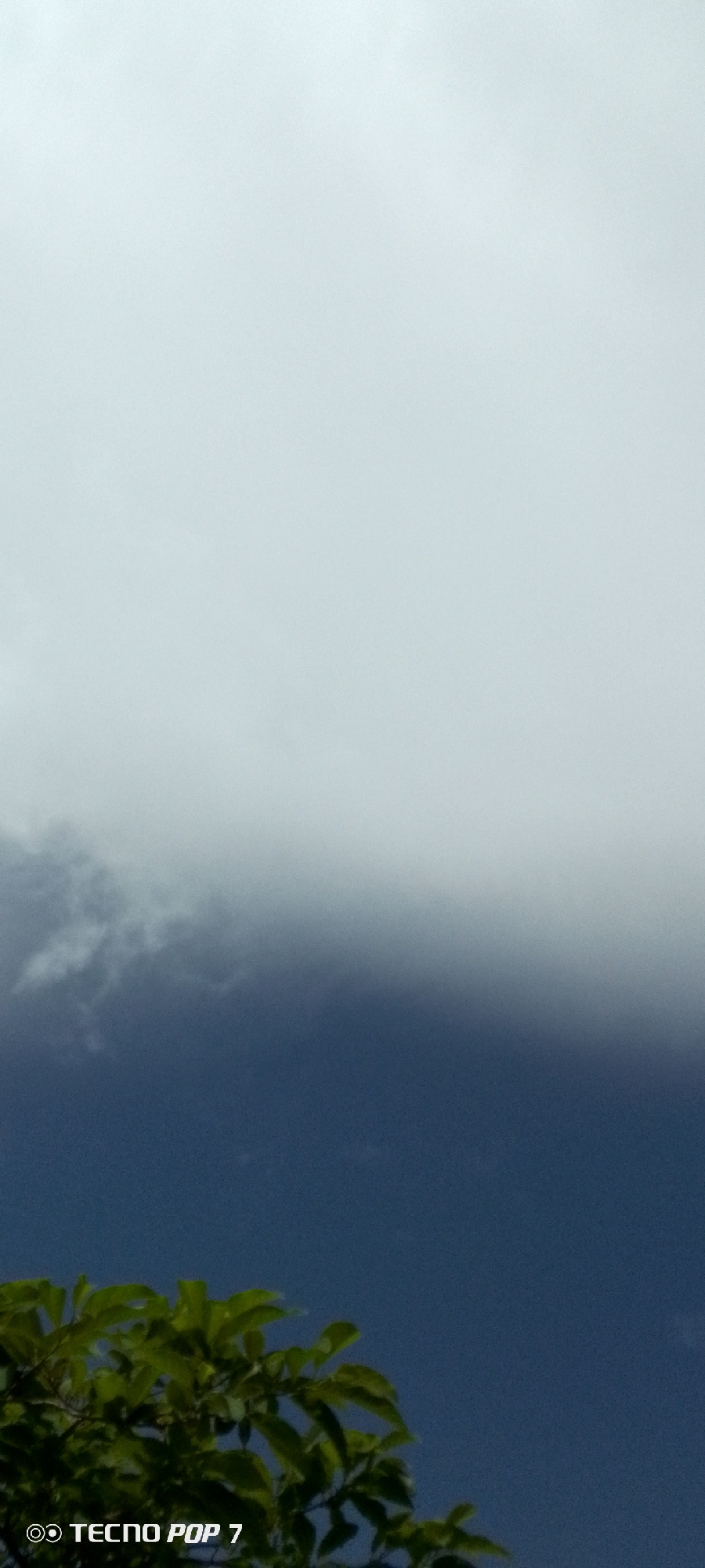 The image shows a sky with clouds, a portion of green foliage in the lower left corner, and the text "TECNO POP 7" in the lower left corner. The sky transitions from a bright, hazy white at the top to a darker blue towards the bottom. There is a distinct band of lighter clouds separating the bright sky from the darker sky. The foliage appears to be from a tree or bush, with visible leaves. The text "TECNO POP 7" is a watermark, indicating the device used to capture the image. No people or specific actions are depicted. The environment is outdoors, likely during the daytime, given the sky conditions. The location within Altagracia, Venezuela is not visually ascertainable from the image itself.