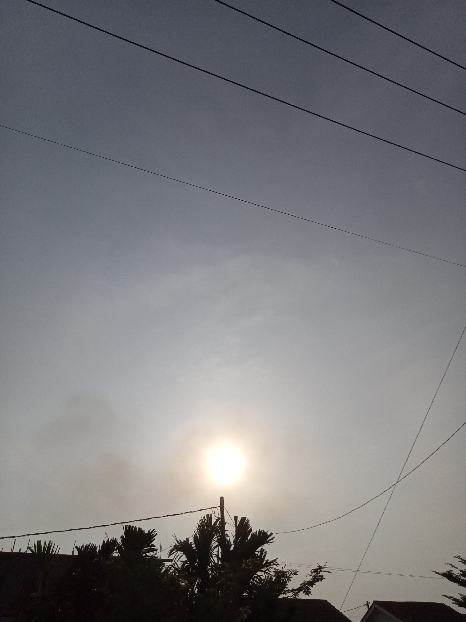 The image captures a view of the sky above Teluk Kenidai, Indonesia, during what appears to be sunrise or sunset. Several power lines crisscross the frame against a pale, hazy sky. The sun is visible as a bright, circular orb, slightly obscured by atmospheric haze. Silhouetted against the sky are the tops of palm trees and the roofs of houses. The overall atmosphere is calm and serene, with the natural light of the sun dominating the scene.