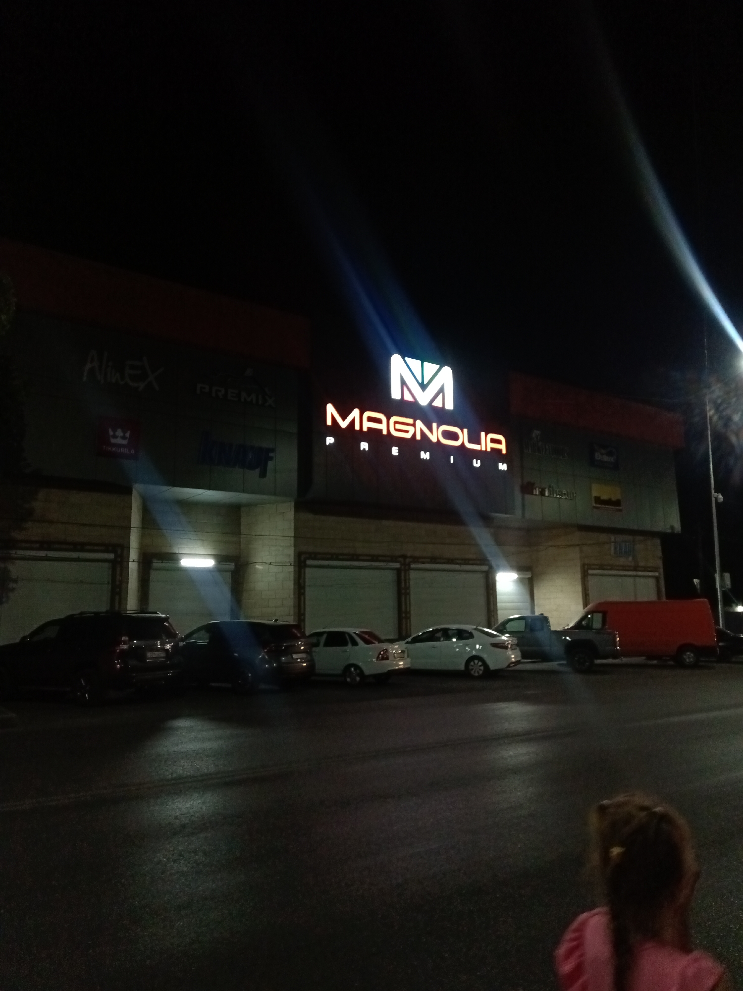 In Shymkent, Kazakhstan, at night, a brightly lit "MAGNOLIA PREMIUM" sign illuminates the facade of a building. The building has a dark, horizontal banding across its upper section, with various logos and text signs visible, including "AlinEX," "PREMIX," "TIKKURILA," and "KNADF." Beneath these signs are several large, closed garage doors. In front of the building, a row of parked cars is visible, including a black SUV, a dark sedan, a white sedan, a blue pickup truck, and a bright orange van. The street in front of the building is wet, reflecting the lights. In the foreground, the back of a young girl with braided hair, wearing a pink top, is visible. The overall scene depicts a commercial area at night, with the main focus on the illuminated business sign.