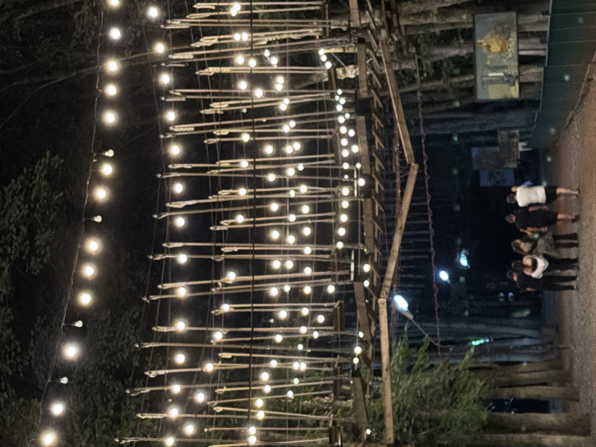 The image depicts an outdoor adventure park at night, likely located in Dilijan, Armenia, given the provided context. The foreground shows a group of five people walking away from the camera on a dirt path. The people are dressed casually. To the left of the path, a line of trees with visible bark stands. Overhead, a rope bridge structure is illuminated by strings of fairy lights, creating a festive atmosphere. The rope bridge consists of wooden planks and vertical rope supports. In the background, more trees are visible, and additional lights are strung, further illuminating the area. The overall scene suggests a nighttime recreational setting with a focus on adventure activities and ambient lighting.
