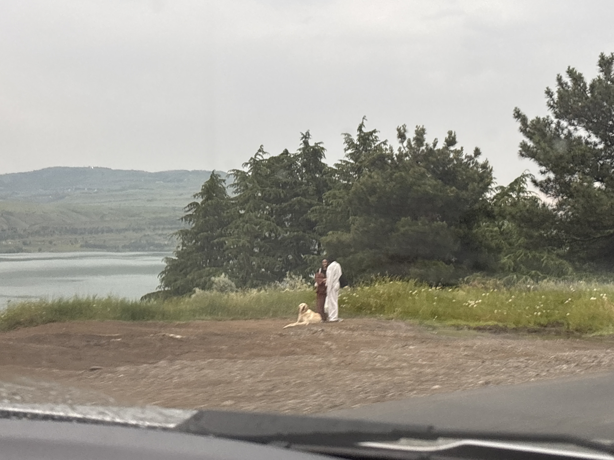 The image depicts a scenic overlook in Tbilisi, Georgia, with a body of water in the background and lush green trees. In the midground, two individuals stand near a golden retriever lying down on the dirt. The people are dressed in what appears to be traditional attire, one in a reddish-brown garment and the other in white. The overall atmosphere is serene and contemplative, with the overcast sky adding a soft, diffused light to the landscape. The foreground shows a dirt path and hints of a road, suggesting this is a common viewpoint accessible to visitors.