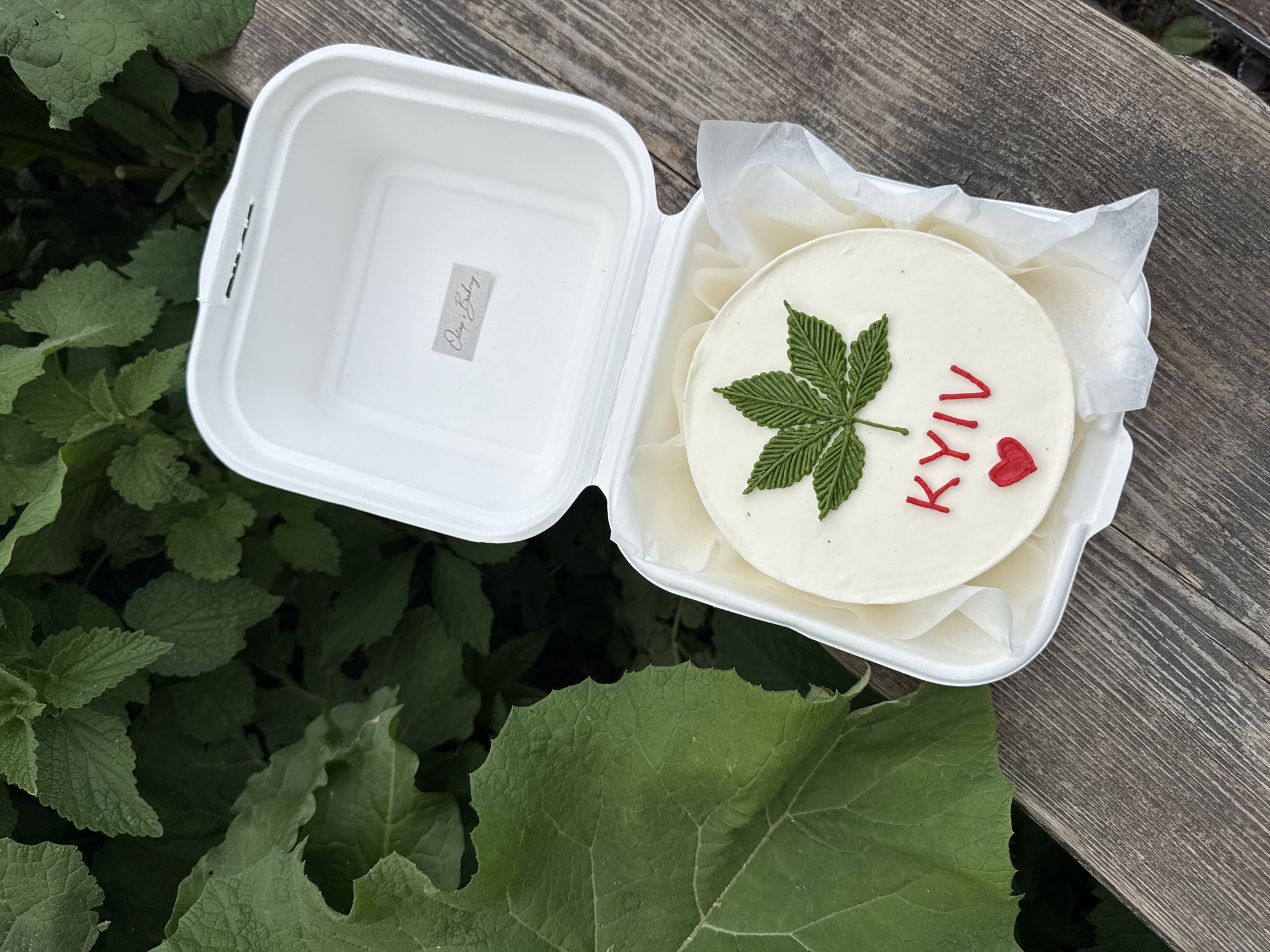 A white box with a cake inside is sitting on a wooden surface amidst foliage. The box is partially open, revealing a round cake decorated with a green leaf and the word "KYIV" in red. The cake is on white tissue paper. The box has a logo sticker on the inside. The wooden surface appears to be a table or bench. The foliage surrounding the box consists of various green plants. The location is Kyiv, Ukraine, as indicated by the cake's decoration.