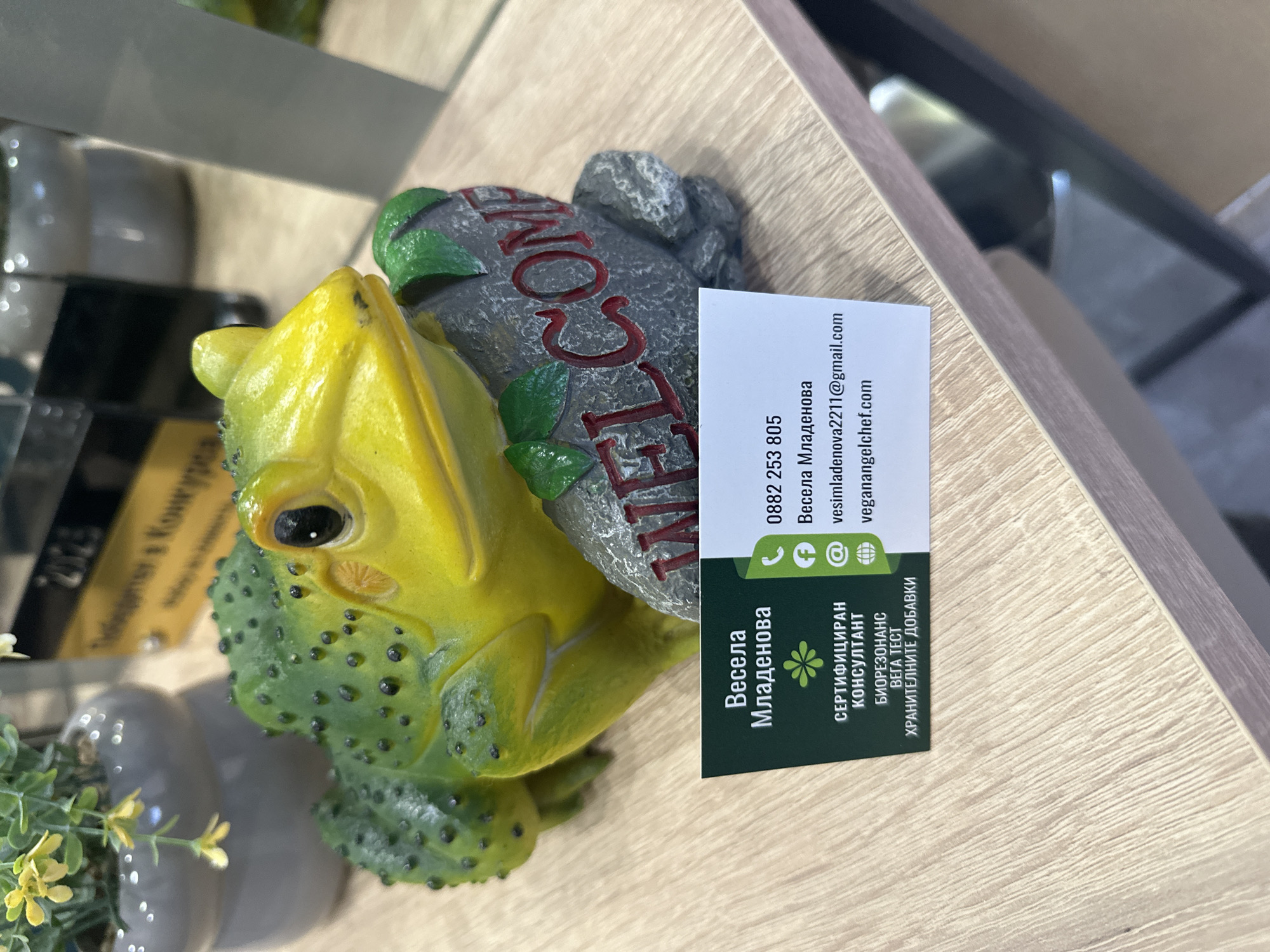 This media file is a close-up, slightly overhead shot of a decorative garden frog figurine, primarily yellow and green, placed on a light wooden surface. The frog is holding a gray, stone-like "WELCOME" sign with red lettering and green leaves. A business card is leaning against the frog and the sign. The card is white with green text and icons. It features the name "Весела Младенова" (Vesela Mladenova) in both English and Cyrillic script, a phone number (0882 253 805), an email address (vesimladenova2211@gmail.com), and a website (veganangelchef.com). The card also lists "СЕРТИФИЦИРАН КОНСУЛТАНТ" (Certified Consultant), "БИОРЕЗОНАНС" (Bioresonance), "ВЕГА ТЕСТ" (Vega Test), and "ХРАНИТЕЛНИТЕ ДОБАВКИ" (Food Supplements). The overall scene appears to be indoors, possibly a shop or a display area, given the background elements which suggest shelves or other merchandise, though they are out of focus. The lighting suggests it is daytime. The location is identified as Haskovo, Bulgaria. The image is oriented such that the text on the card is vertical and the frog is facing left.