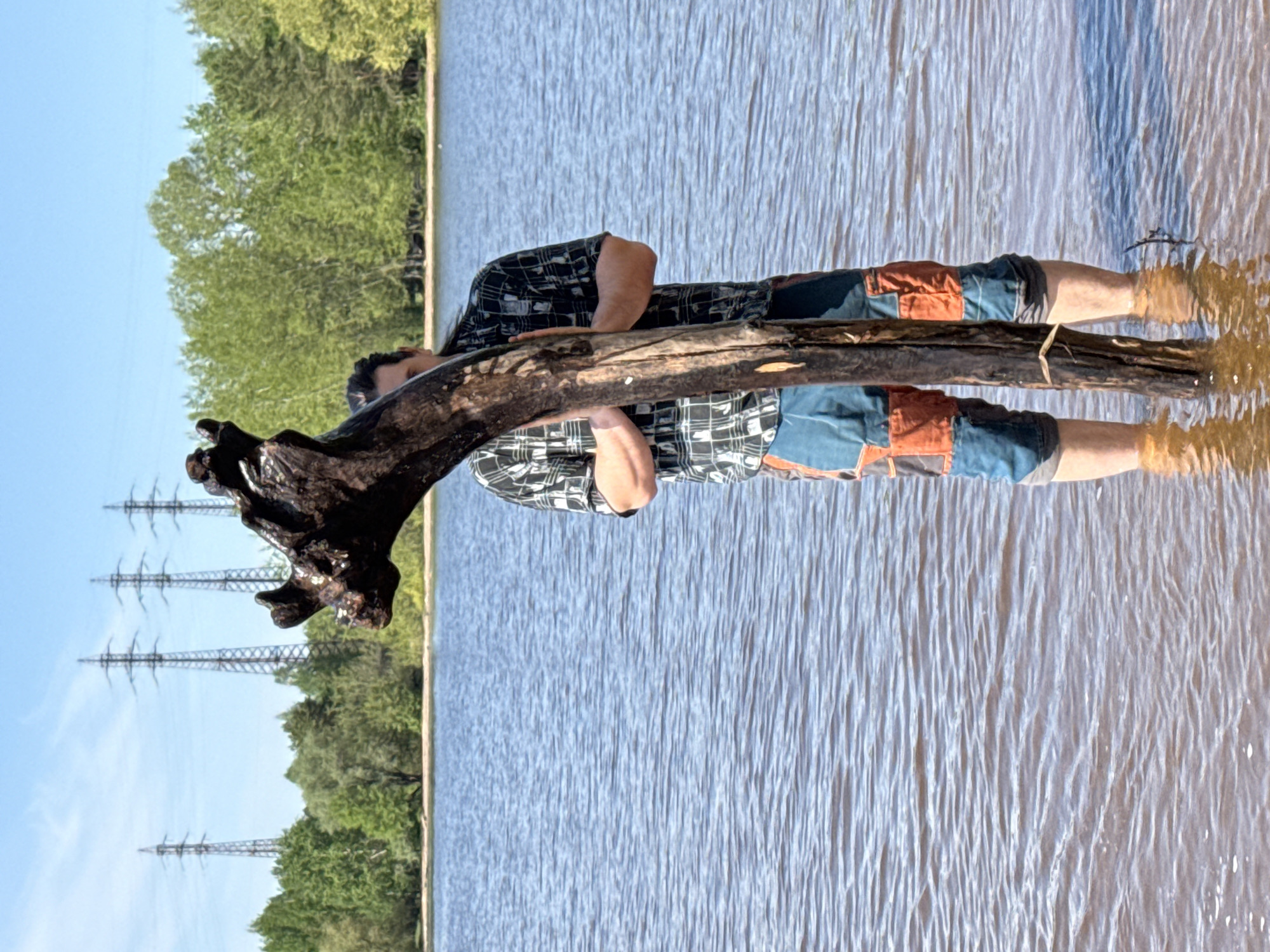 A man stands in shallow water in the foreground of an outdoor scene, holding a large piece of driftwood horizontally in front of him. He is wearing a black and white plaid shirt, blue and orange shorts, and his legs are partially submerged in the water. The man's reflection is visible in the water. The water appears to be a lake or pond. Behind the man, in the midground, are trees and some power line towers. The sky is clear and blue. The scene is likely in Noviy, Russia, based on the location provided.