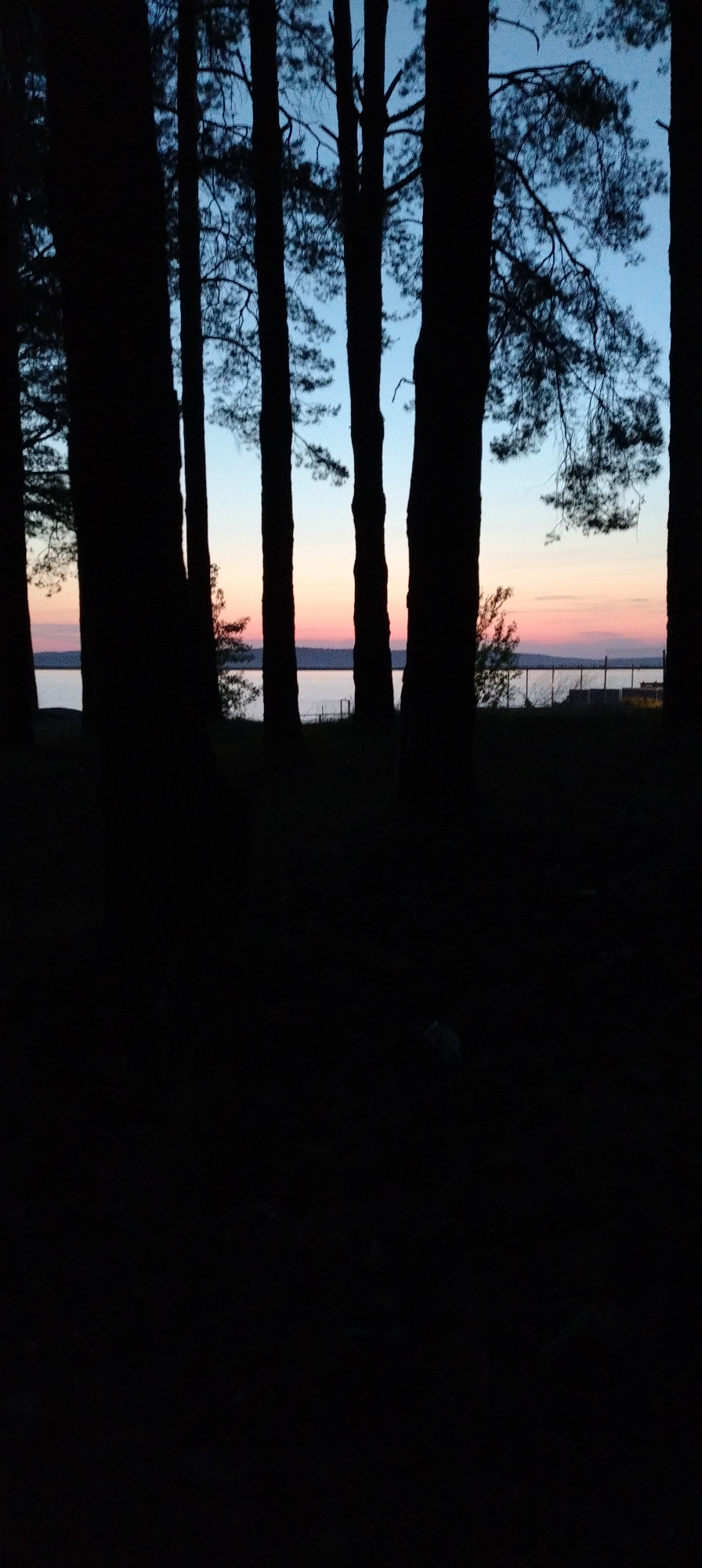 The image depicts a twilight scene in a wooded area. Silhouetted trees dominate the foreground, obscuring most of the ground. A body of water is visible in the middle ground, with a pink-hued sunset sky above. A fence or structure is barely discernible on the far side of the water. The location is likely Chaikovsky, Russia, based on the prompt. No people are visible.