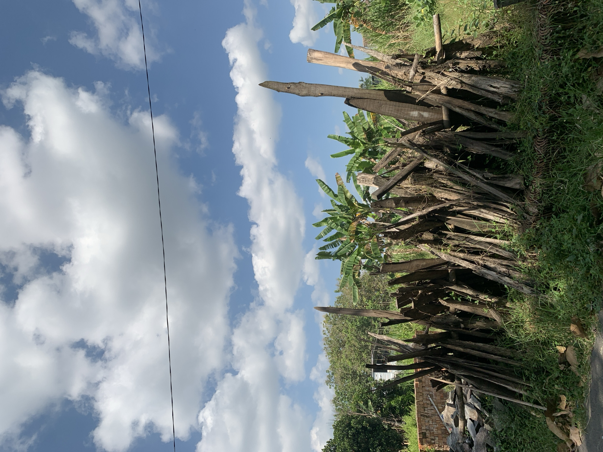 A vertical, medium shot captures an outdoor scene featuring a collection of weathered wooden posts and planks arranged in a rustic fence-like structure. The wood appears aged and sun-bleached, with some pieces showing signs of decay. Behind the wooden structure, banana trees with large, vibrant green leaves are visible, suggesting a tropical or subtropical environment. Lush green grass and other foliage surround the wooden elements and the banana trees, indicating a natural, possibly uncultivated, area. In the background, a clear blue sky is filled with fluffy white clouds, casting shadows on the landscape. A dark power line stretches horizontally across the upper portion of the frame, dividing the sky and clouds. To the left of the wooden posts, a pile of bricks and stones is also present, hinting at construction or landscaping activities. The scene evokes a rural or semi-rural setting.