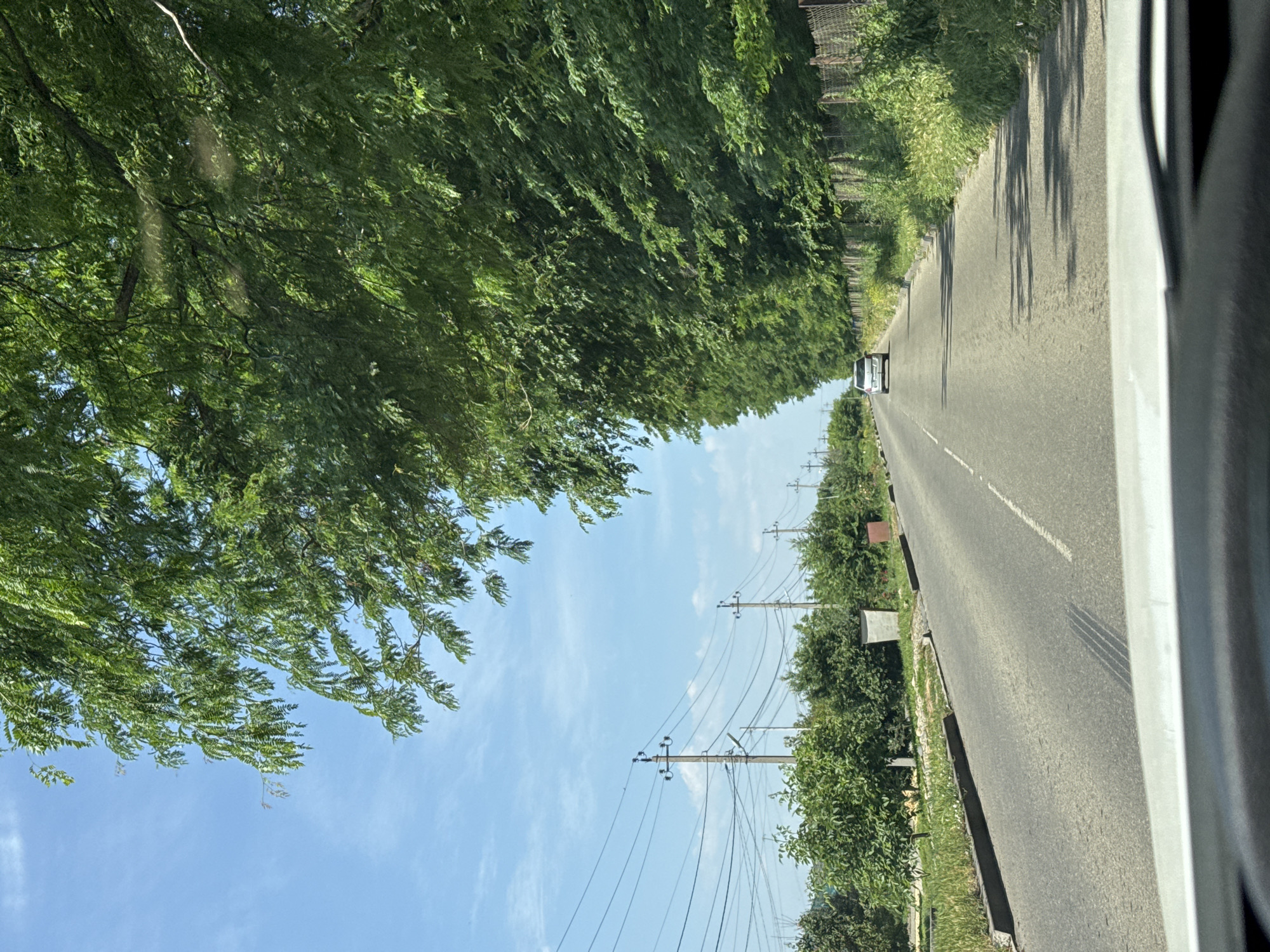 The image captures a sunny day scene from a vehicle traveling on a paved road in Mikhaylovsk, Russia. The road is lined with a dense row of lush green trees on the right side, creating a natural tunnel effect. On the left side of the road, there are power lines supported by utility poles, interspersed with various green bushes and trees. A single white car is visible in the distance, driving in the same direction. The sky is clear blue with a few wispy clouds. The foreground of the image shows the dashboard of the vehicle from which the photo was taken, indicating a first-person perspective of the journey.
