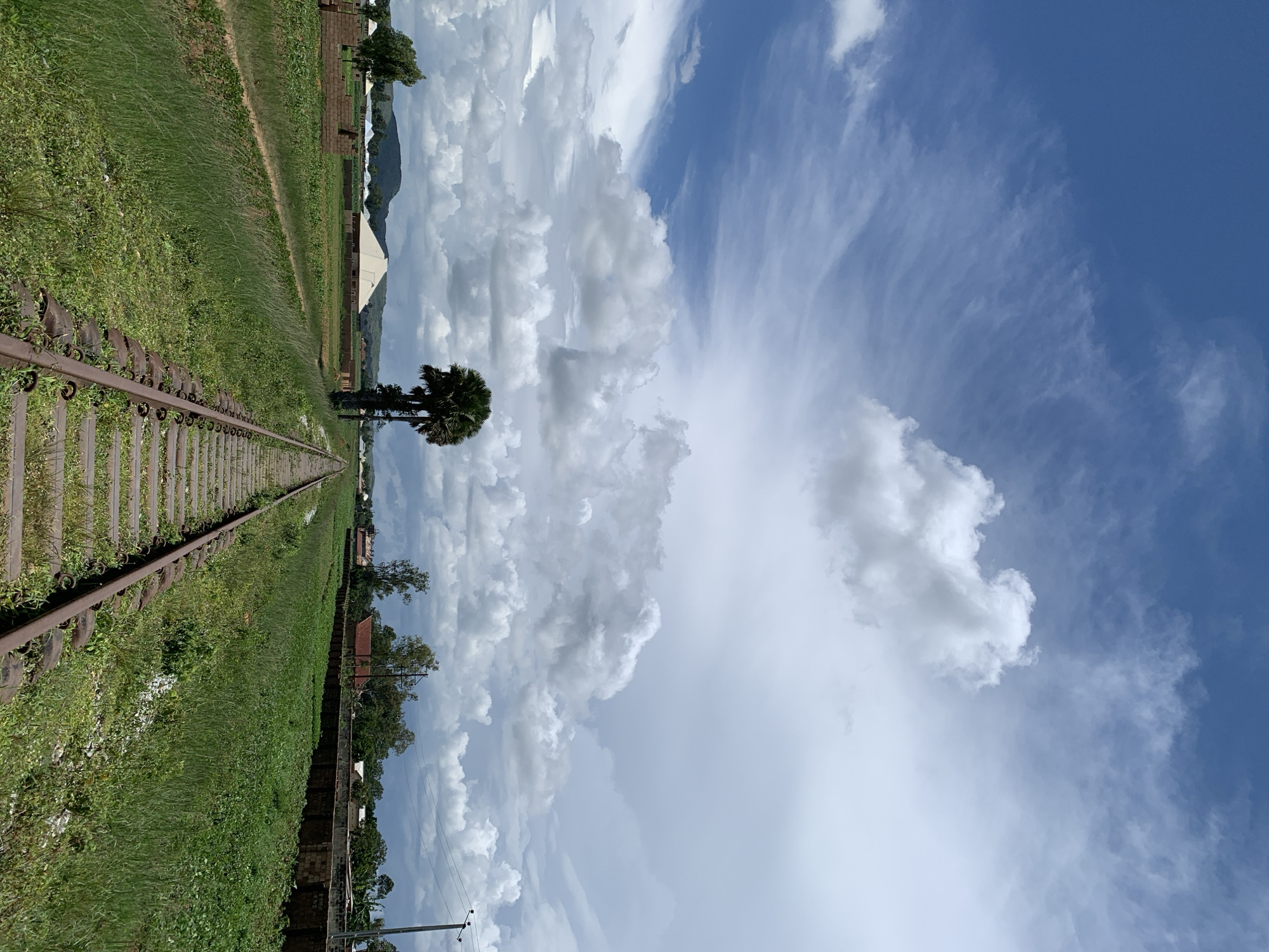 A perspective shot looks down a disused railway track in Kuru Karama, Nigeria. The tracks are weathered and rusted, flanked by overgrown green grass on either side. In the distance, a lone palm tree stands tall, with a cluster of buildings and a large white tent structure visible behind it. A mountain range can be seen on the horizon under a sky filled with dramatic, fluffy white clouds against a blue expanse. To the right of the tracks, a low stone wall runs alongside the railway, disappearing into the distance, and a utility pole with wires is visible near the horizon. The environment appears rural and somewhat undeveloped.