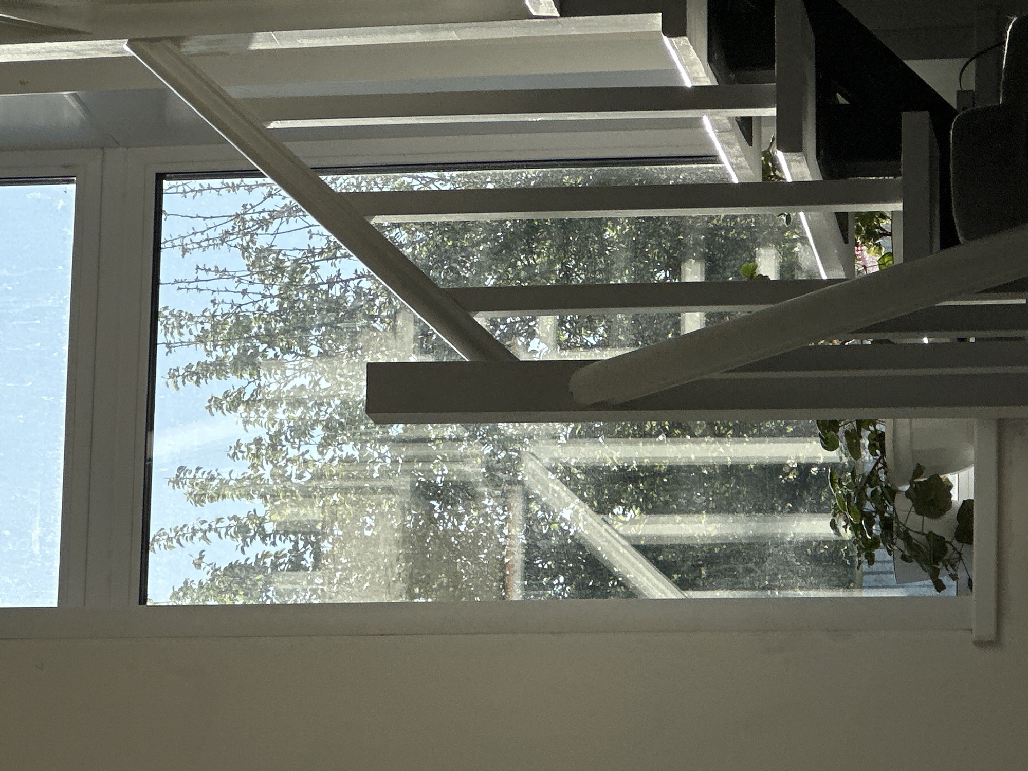 A view through a window with a white frame reveals a tree with dense foliage and a clear blue sky beyond. Structural elements, painted white, cross the window and include horizontal bars and diagonal supports. To the right, a hanging plant with green leaves partially obscures the view. The scene is brightly lit, casting shadows on the white surfaces. The background lacks specific features to discern a location.