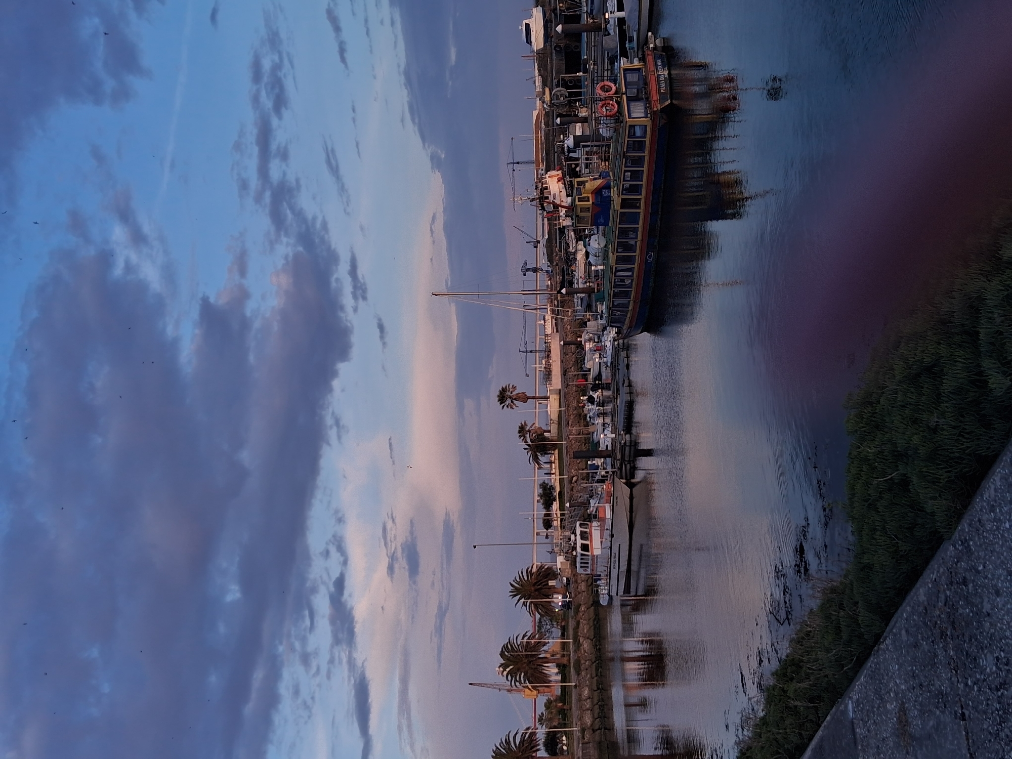 The image depicts a waterfront scene in Figueira da Foz, Portugal. A long, multi-level passenger boat, labeled "PARADA REDONDOS", is docked alongside a quay. Smaller boats and yachts are moored nearby. Palm trees line the quay. The sky is a mix of blue and dark clouds, suggesting either dawn or dusk. The water reflects the boats and the sky. Concrete structures are visible on the bottom right corner of the image. Vegetation grows along the water's edge. The image appears to be taken from an elevated position.