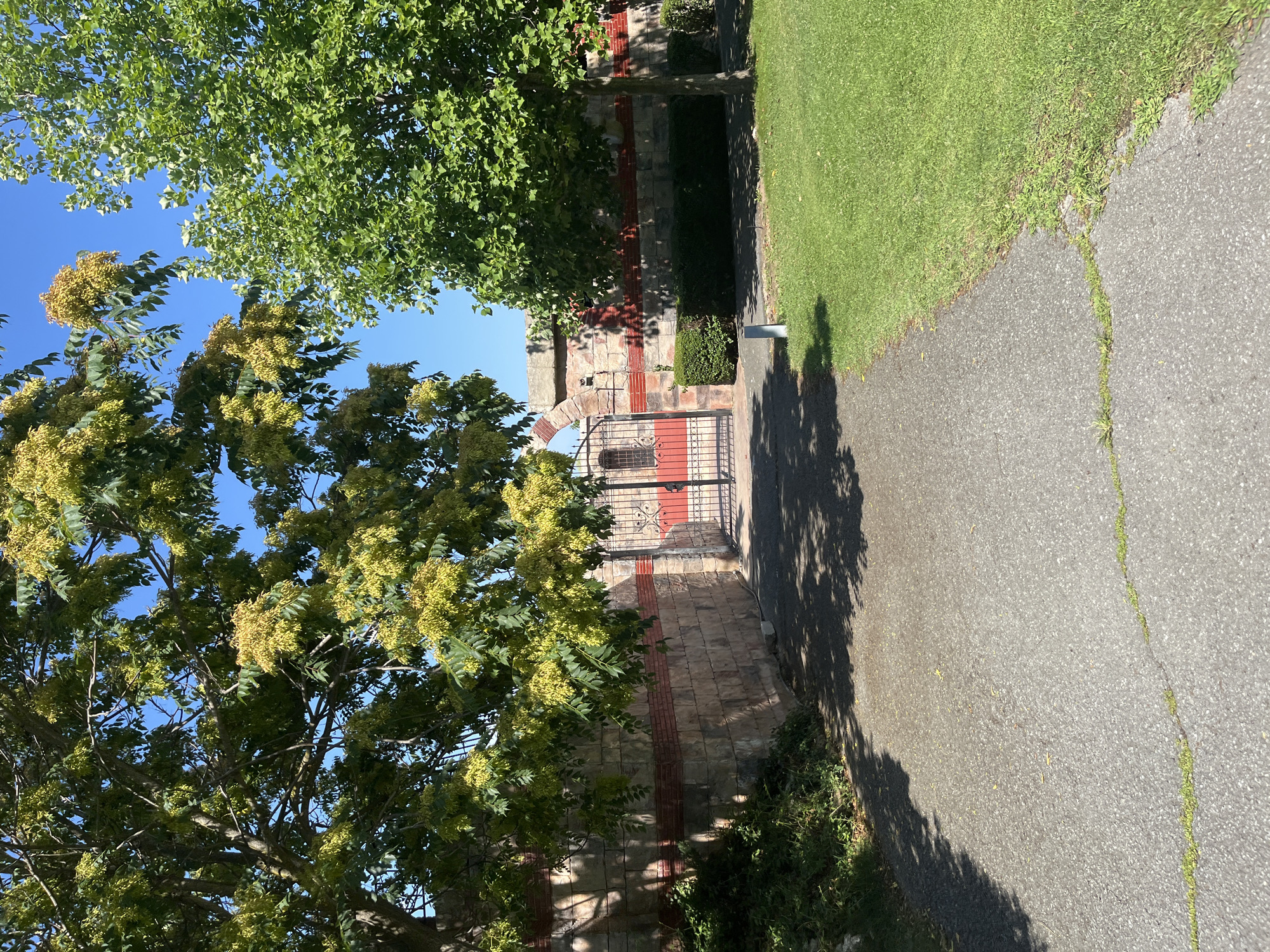 A paved pathway leads towards a large, ornate, black metal gate set within a weathered stone wall. The wall, constructed with large, irregular blocks of light-colored stone and bands of reddish brick, features an arched opening above the gate. Through the gate, a glimpse of red structure and more stonework is visible.
Overhead, leafy green trees with clusters of yellowish seed pods cast dappled shadows on the pathway and the wall. To the right of the pathway, a neatly manicured green lawn stretches out under a clear blue sky. The environment appears to be an outdoor space, possibly part of a historical site or park, given the architectural style of the wall and gate. The scene is captured on a bright, sunny day.
This image was taken in Obzor, Bulgaria, specifically at the remains of the Roman Basilica of the Holy Mother of God.