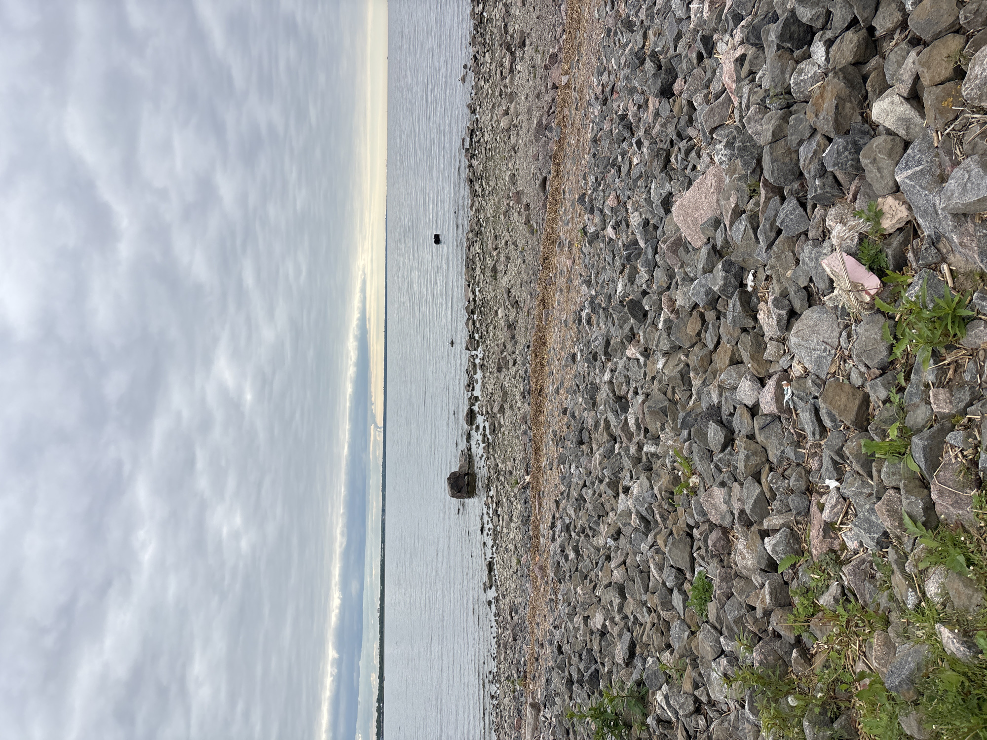 The image shows a rocky shoreline in what is likely Saint Petersburg, Russia. The sky is overcast with cloud formations. The water is calm. A rocky beach of grey and brown stones extends into the foreground. A few plants grow among the rocks. In the water are some small, dark objects, possibly rocks. No people or animals are visible.