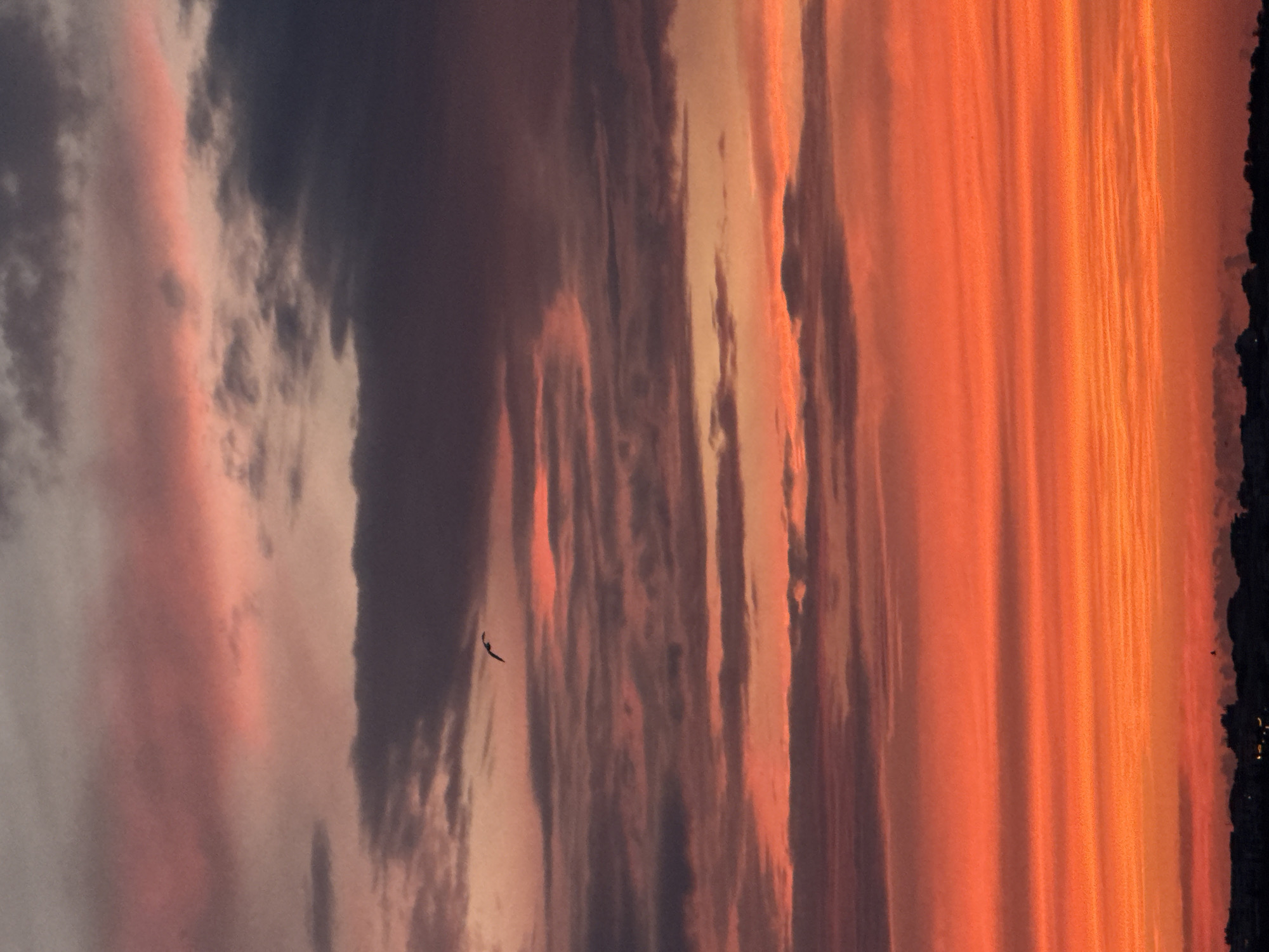 This is a vertical, medium shot photograph of a dramatic sunset over the city of Sozopol, Bulgaria. The sky is filled with layered clouds, displaying a vibrant gradient of colors ranging from deep purple and gray at the top to fiery orange and red at the bottom. A single bird is silhouetted against the sky in the upper middle section of the frame, appearing to be in flight. The lower portion of the image shows a dark, silhouetted cityscape, likely representing the rooftops and structures of Sozopol, with a faint glow of lights indicating evening activity. The overall atmosphere is one of natural beauty and the end of the day.