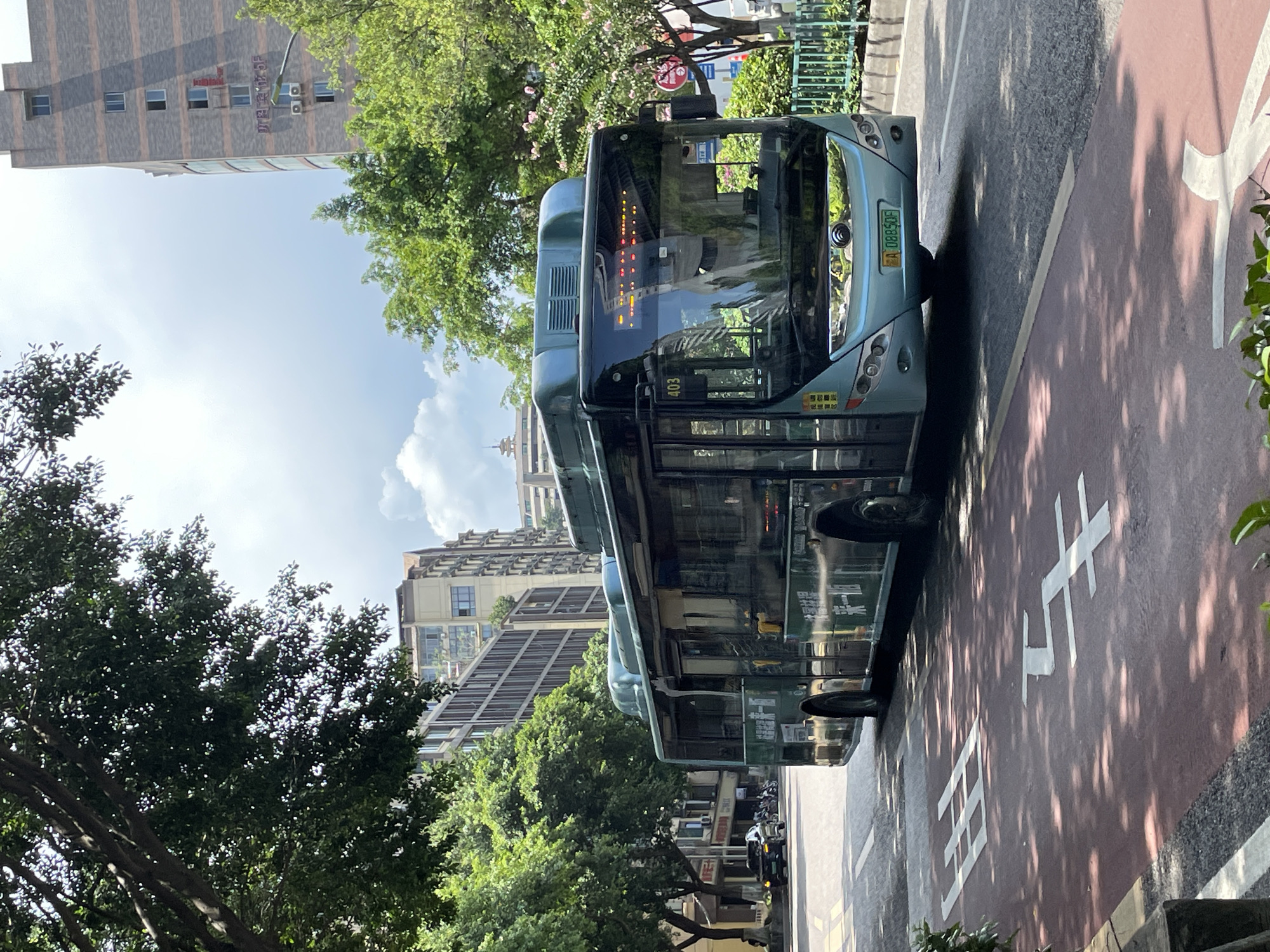 A light blue bus with the number 403 displayed on its front is driving on a city street in Yuzhong District, China. The bus has Chinese characters on its side. The street has a red lane with white markings, indicating a bus lane. On the left side of the street, there are trees and buildings. The sky is partly cloudy.