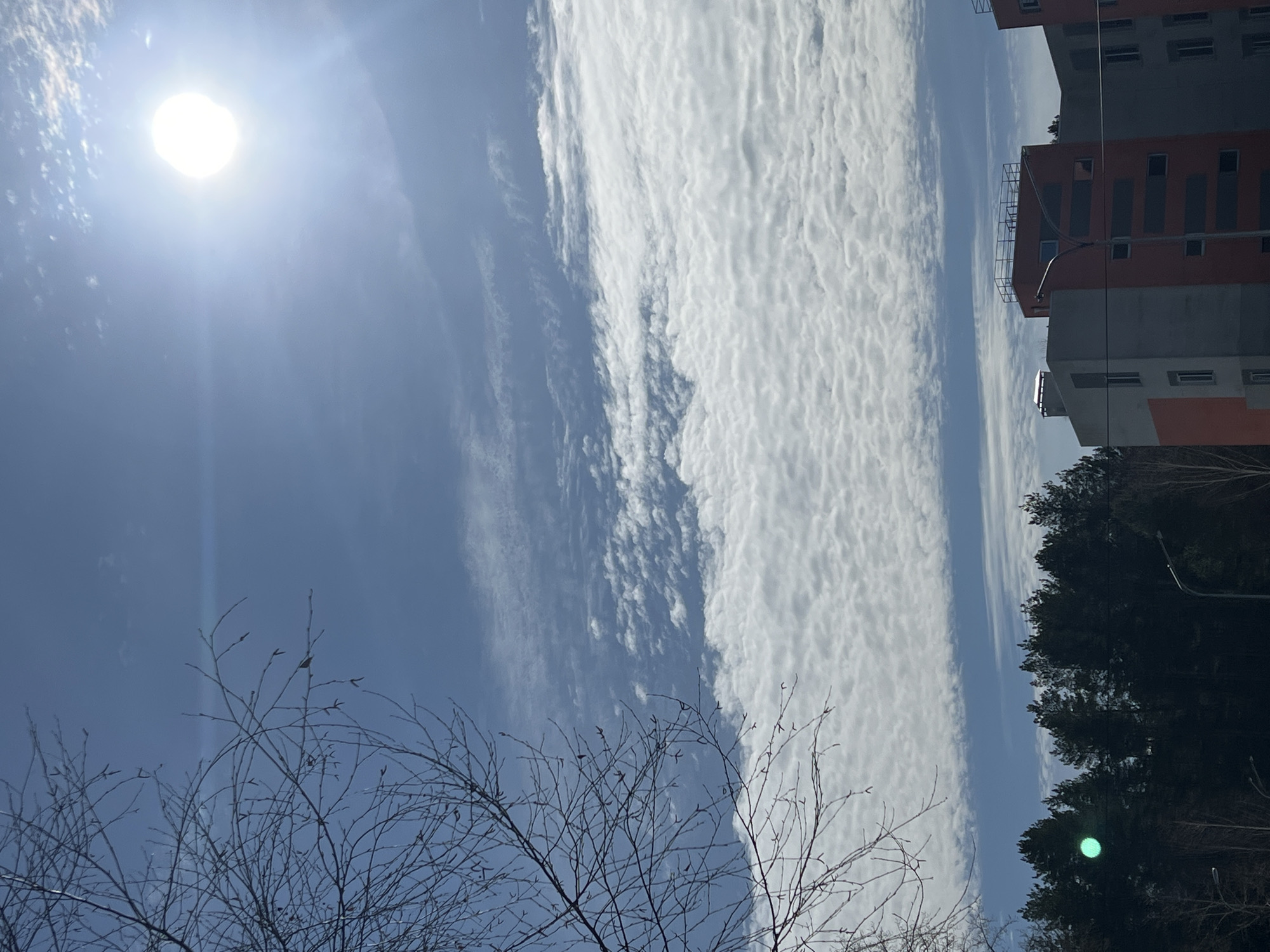 The image captures an outdoor daytime scene in Chaikovsky, Russia. The upper half of the frame is dominated by a clear blue sky, featuring a brilliant sun in the upper right quadrant that produces a prominent lens flare. A horizontal band of white altocumulus clouds stretches across the middle of the sky. In the upper left, bare branches of a deciduous tree with visible buds or catkins are present. Below this, a dense line of dark coniferous trees forms a horizon in the mid-ground. A distinct circular green lens flare appears in the lower-left sky, positioned above the coniferous trees. On the right side, two multi-story buildings with modern orange and gray facades are partially visible. One building exhibits a rooftop railing structure. A streetlight with a curved arm is positioned in the mid-right foreground, partially obscuring a building. No individuals or specific actions are depicted.
