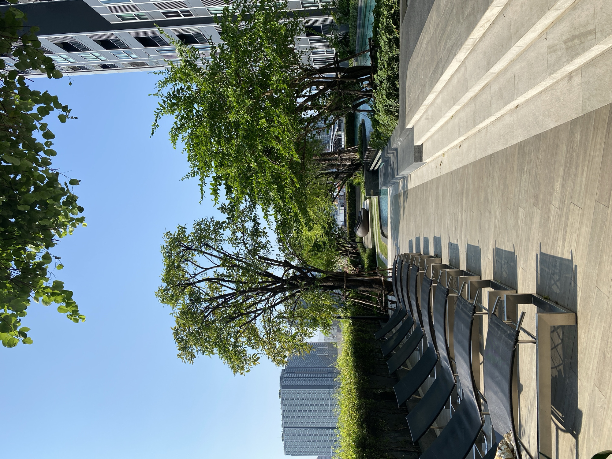 The scene is an outdoor area in Bangkok, Thailand. The view looks from a low angle facing the sky with a building on the left, trees lining the area in the middle, rows of dark blue lounge chairs, and a gray wall with steps on the right. In the background, high-rise buildings are visible under a clear blue sky. The lighting suggests a sunny day. No people are visible in the scene.
