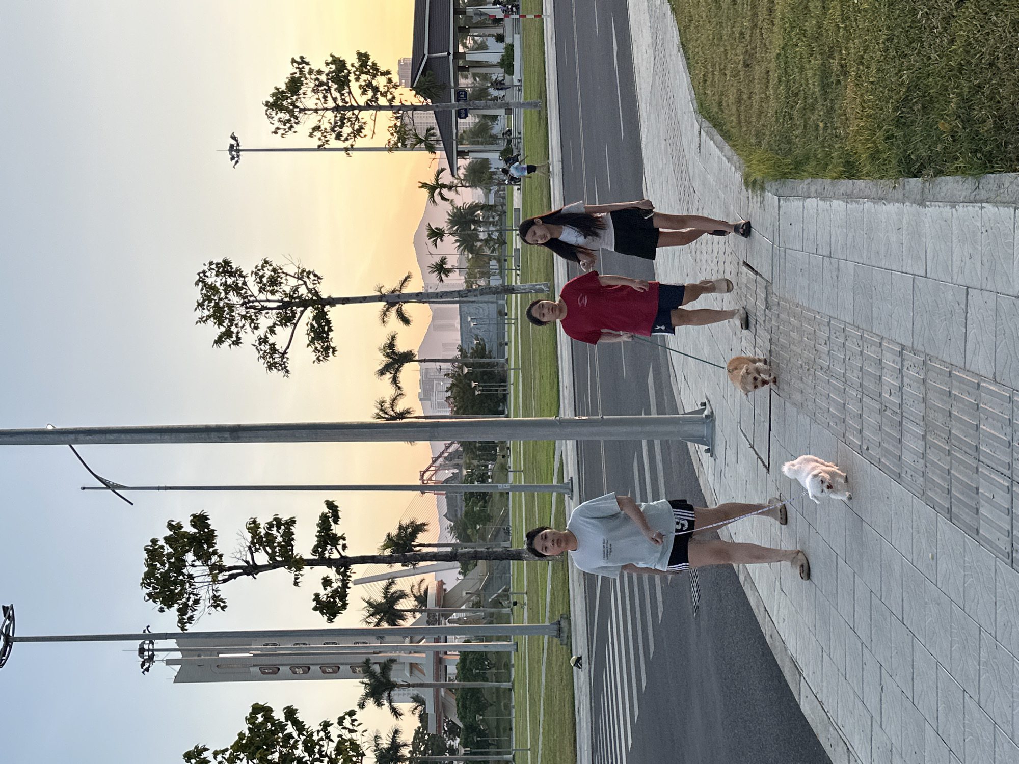 Three young women, two of whom are walking dogs on leashes, are strolling along a tiled pedestrian walkway adjacent to a road with a pedestrian crossing. The woman in the foreground, on the left, wears a light blue t-shirt and black shorts, leading a small white dog. Next to her, a woman in a red t-shirt and dark shorts walks a small tan dog. The third woman, on the right, is wearing a white t-shirt and black shorts. The scene appears to be in a park or public area, with green grass and trees on the right, and a road and crosswalk on the left. In the background, a tall white structure, possibly a monument or landmark, and a bridge are visible, along with palm trees and distant buildings and mountains. The sky is a soft gradient of blue and orange, suggesting either sunrise or sunset. This scene is located in Đà Nẵng, Vietnam, likely near the Dragon Bridge or one of the city's riverside parks.