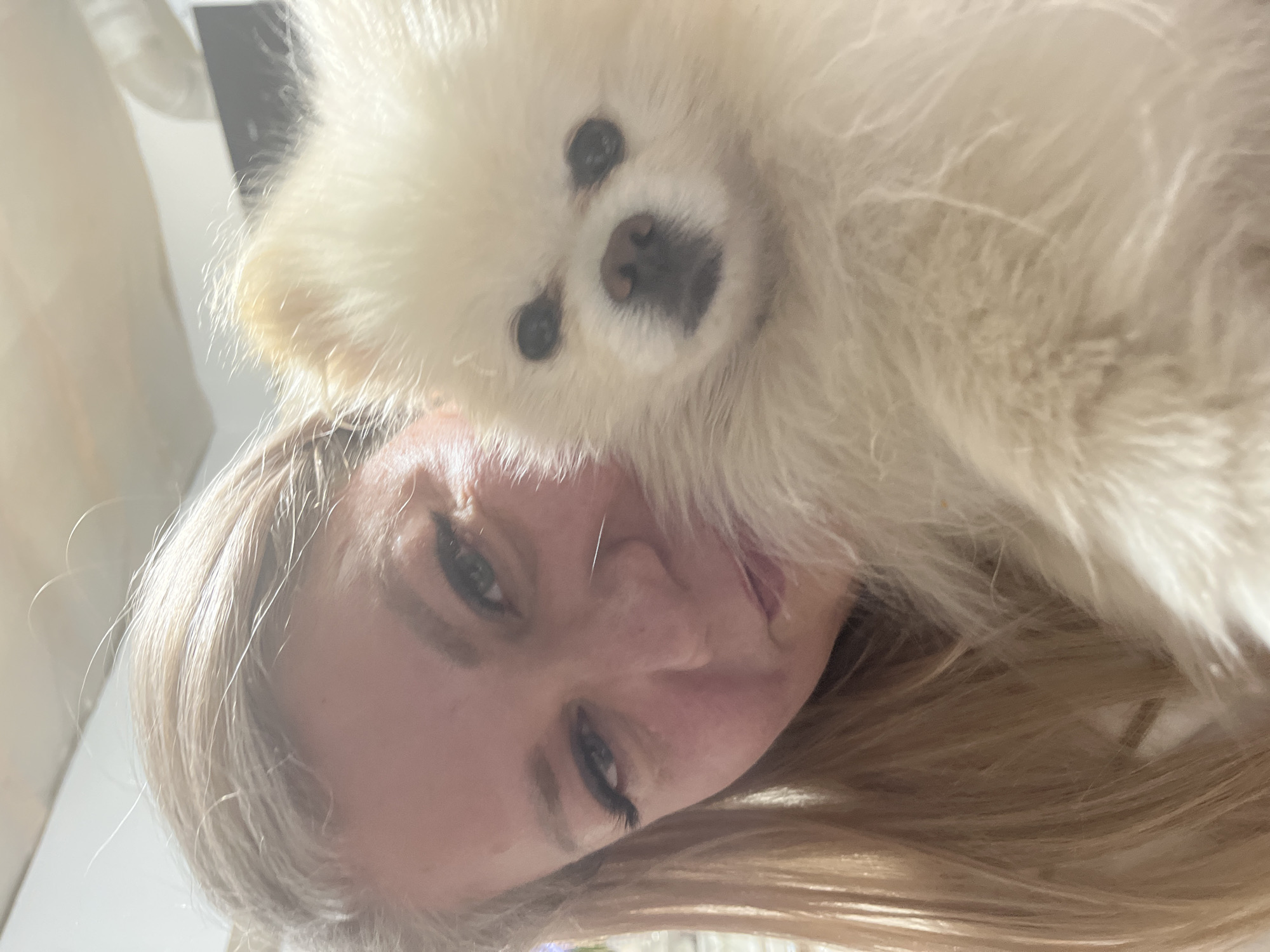 A close-up, rotated image captures a person and a small, fluffy white dog in an affectionate interaction. The person, who appears to be a woman with blonde hair, fair skin, and visible eyeliner around her eyes, is positioned on the left side of the frame, looking towards the camera with a slightly open mouth. A small white dog, likely a Pomeranian, with dark eyes and a dark nose, is nestled closely against the person's face, occupying the upper right portion of the image and also looking directly at the camera. Its voluminous white fur dominates a significant part of the composition. The background is soft, light, and blurred, indicating an indoor setting, possibly a home. The lighting is bright, suggesting daytime or a well-lit interior. The overall mood conveys warmth and companionship between the subjects. No text is visible. The location context for this image is Izhevsk, Russia.