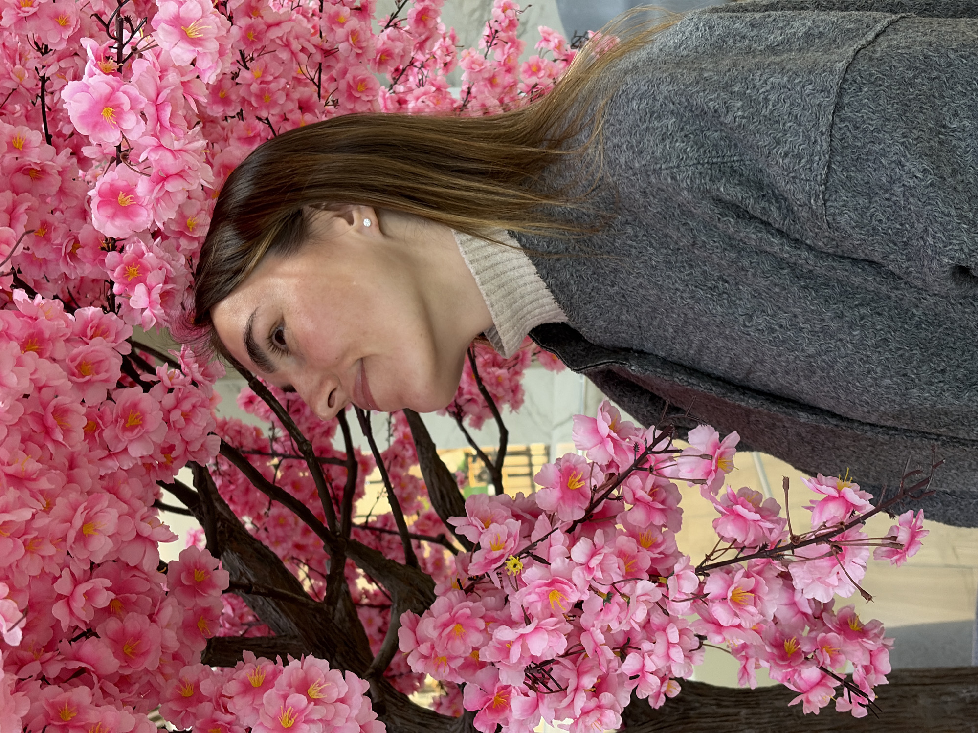 A young woman with long, straight brown hair and fair skin is depicted from the chest up, appearing to be standing among or behind a dense arrangement of artificial pink cherry blossoms. She is captured with her head tilted, looking downwards and slightly to her left, displaying a calm, appreciative expression and a faint smile. She is wearing a textured, curly grey overcoat over a light-colored, ribbed turtleneck sweater. A small, sparkling stud earring is visible in her right ear.
The scene is dominated by numerous clusters of vibrant pink cherry blossom flowers with distinct yellow centers, attached to dark brown, gnarled artificial branches. These flowers fill much of the frame, creating a lush, immersive floral setting. The background, visible beyond the flowers and the woman, is softly blurred, indicating an indoor public space with diffuse lighting, possibly from windows or overhead sources. The entire image is originally rotated 90 degrees clockwise. There is no visible text. The location context is Izhevsk, Russia.