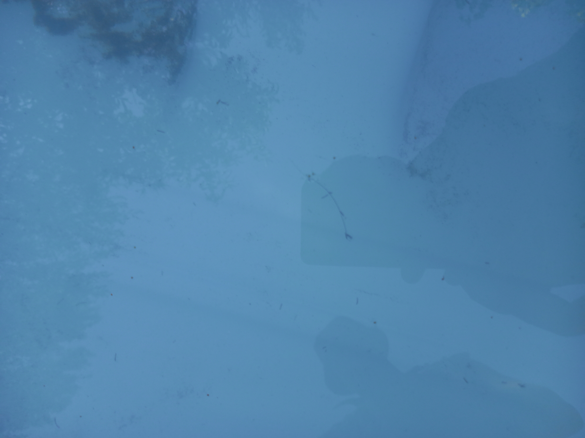The image displays a hazy, blue-tinted scene, possibly a reflection on water or a foggy surface. In the lower half of the image, two indistinct human-like shapes are visible, appearing as dark silhouettes against the lighter background. The shape on the left is more diffused, while the shape on the right is more defined and suggests a person holding a rectangular object, possibly a phone, to their face. A faint, thin line curves across the upper portion of this right-hand silhouette. The overall impression is of a subdued and abstract environment with subtle hints of human presence. The location in Ҷамоати Худойназар Холматов, Tajikistan, is not directly discernible from the visual content of the image.