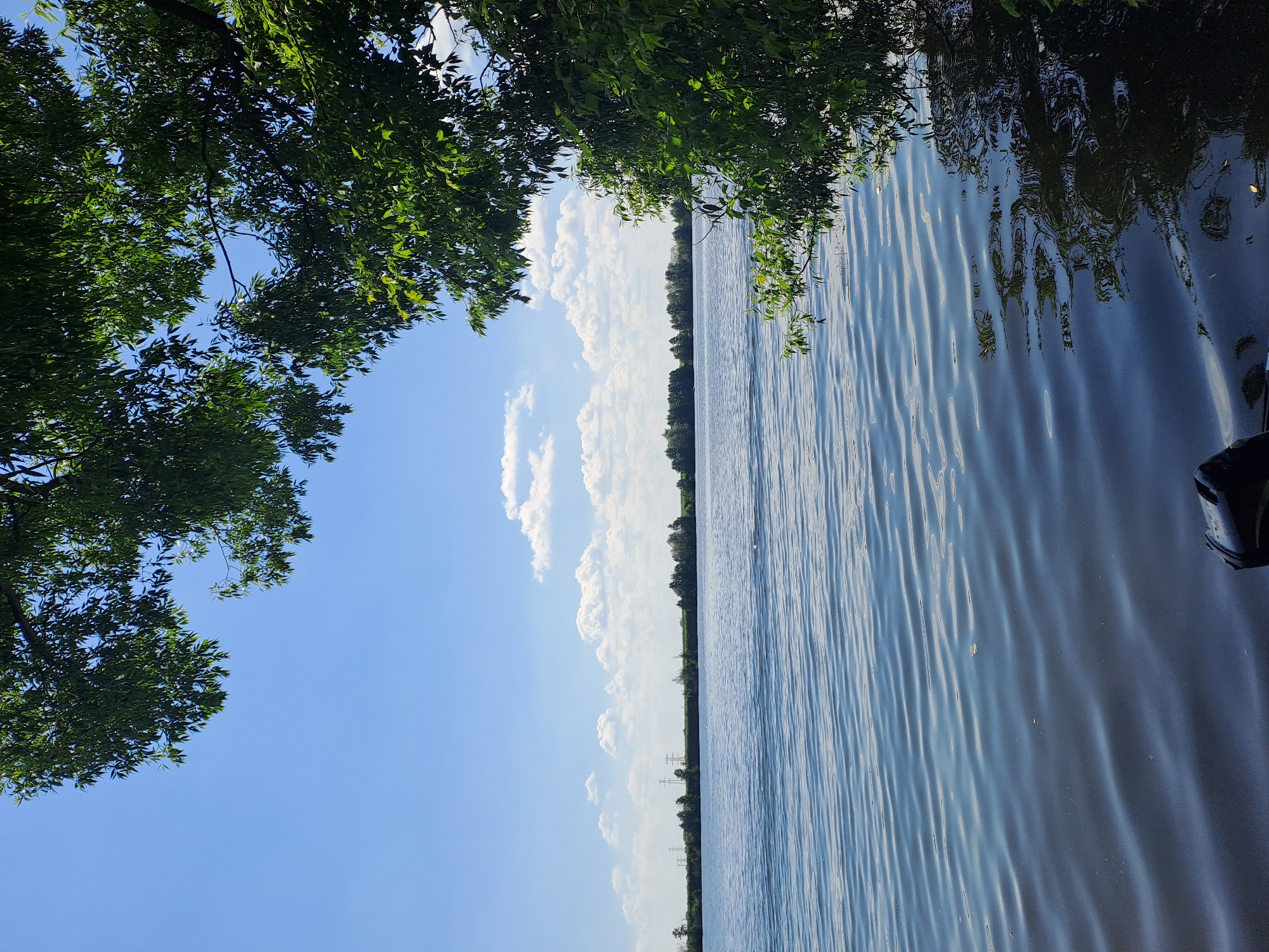 The image depicts a tranquil natural scene by a body of water, likely a lake or river, under a clear blue sky dotted with white clouds. The foreground is dominated by the calm water, which reflects the sky and surrounding greenery. Ripples on the water's surface suggest a gentle breeze. The middle ground features a distant treeline bordering the water, with a flat, grassy expanse beyond it. Power lines are visible in the distance. Overhanging branches of a lush green tree frame the upper right portion of the image, casting shadows on the water. The lower right corner of the image shows a black object, possibly part of a boat or camera equipment. This scene is consistent with the natural environment found in Dedinovo, Russia, a locality known for its picturesque landscapes and proximity to waterways.