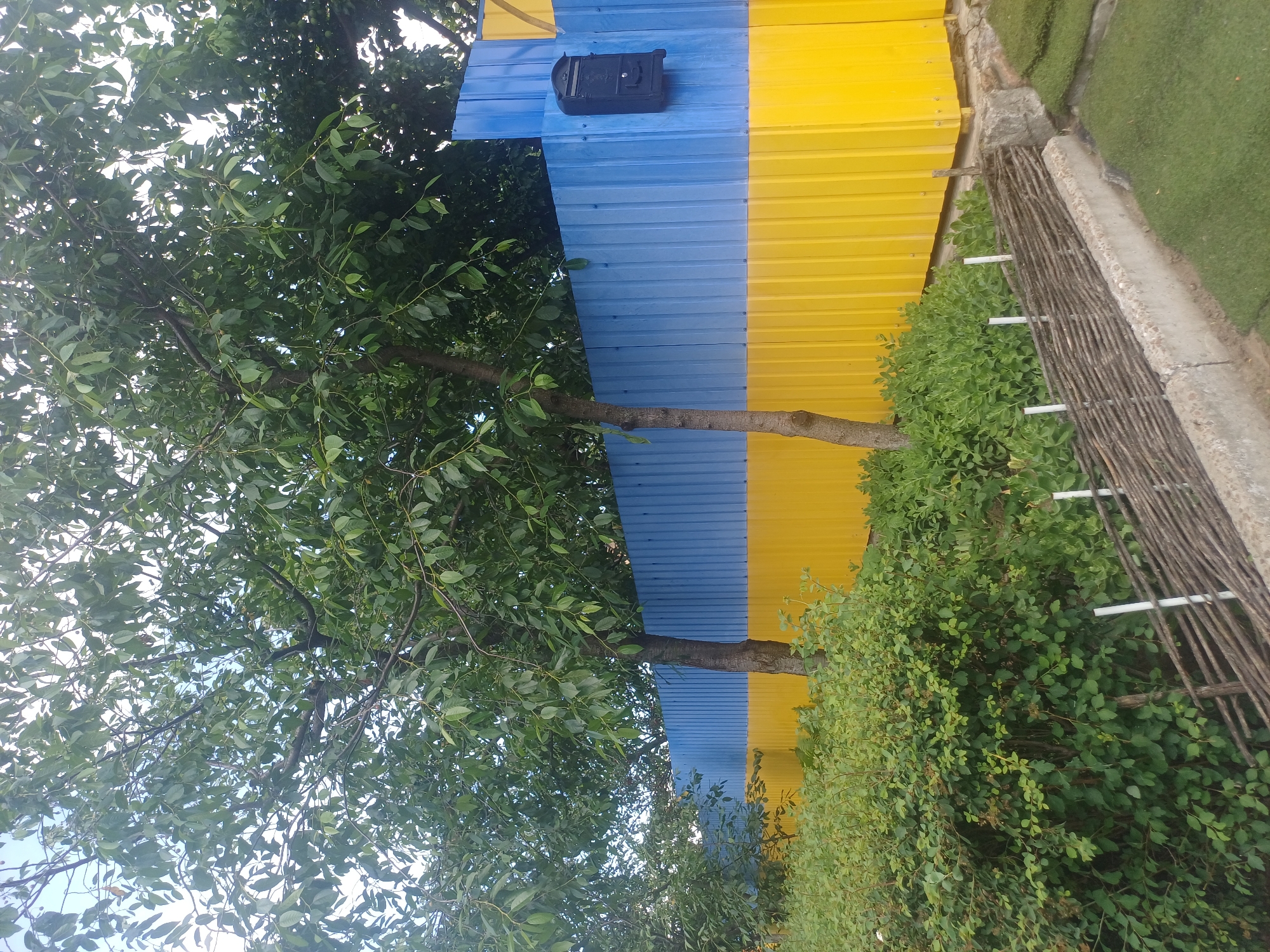The image shows a portion of a building with a blue and yellow corrugated metal exterior. A black mailbox is mounted on the blue section of the wall. A tree with green leaves is positioned in front of the building, with a branch extending horizontally across the lower part of the frame. To the right of the building, there is dense green foliage, and further to the right, a section of artificial turf is visible. A rustic fence made of branches is also present, running along the edge of the greenery. The scene appears to be outdoors, possibly a backyard or garden area. The lighting suggests it is daytime, with natural light illuminating the scene. There is no visible text in the image. The overall impression is one of a bright, outdoor setting with a mix of natural and artificial elements.