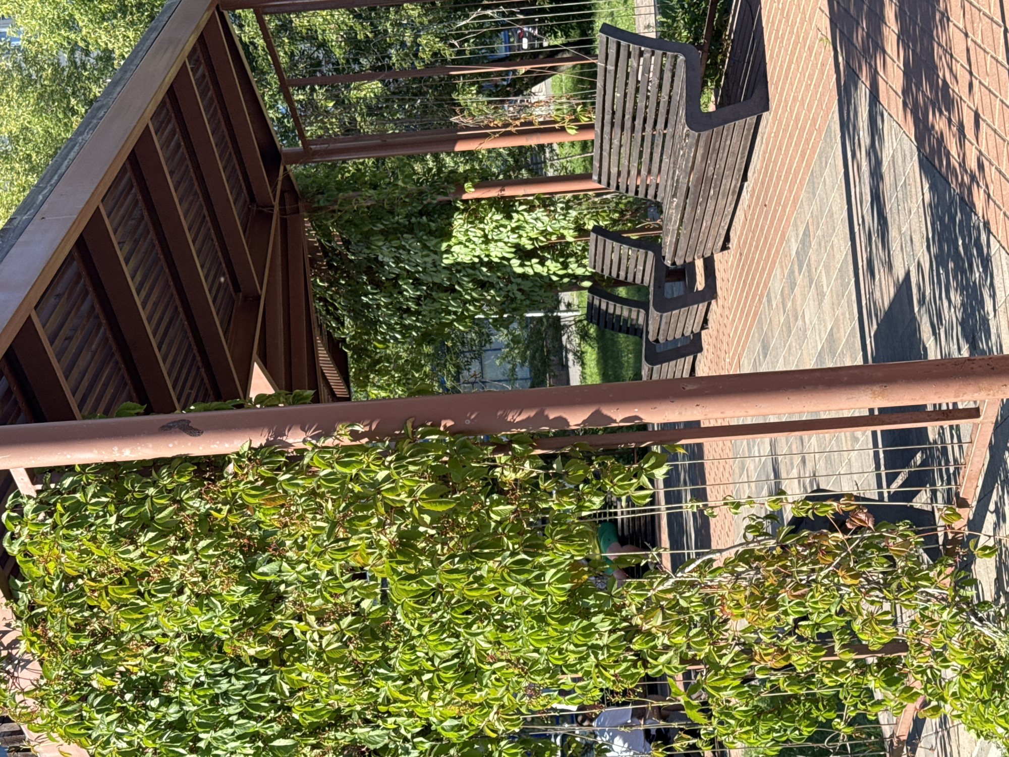 The image depicts an outdoor seating area with several dark wooden benches under a brown metal-roofed pergola. The pergola is supported by brown metal posts, and the ground is paved with interlocking bricks in shades of orange and gray. Lush green vines with small red berries climb a metal fence and partially cover the pergola's posts. In the background, trees with green foliage are visible, suggesting a park or urban green space.
To the left of the frame, a person in a white shirt is seated, and further back, another person in a green shirt and shorts is also sitting. Sunlight casts shadows from the pergola and leaves onto the brick pavement, indicating it is daytime. The overall scene is one of a serene, shaded public space.
While the image shows a common urban park feature, there is no specific visual information within the image that allows for the definitive identification of its location in Nizhny Novgorod, Russia. The architecture, vegetation, and paving stones are generic to many public spaces.