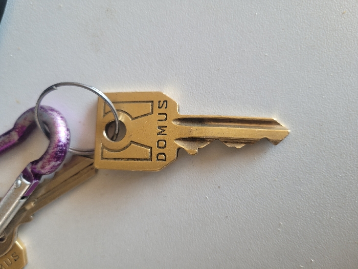 The image displays a set of keys and a carabiner resting on a flat, light grey surface exhibiting a fine, irregular texture. The specific location within the city of Ανδραβίδα, Greece, cannot be determined from the visual information provided. No individuals are present.
A brass-colored key, bearing the embossed word "DOMUS" on its rectangular head and featuring a complex bitting pattern, is prominently displayed in the center. This key is attached to a silver-colored split keyring. The keyring is connected to a purple-painted carabiner, which exhibits significant paint wear and chipping, revealing the underlying metallic silver material. A second, partially visible brass-colored key is also attached to the carabiner in the upper left quadrant. The items are stationary, with no discernible actions or interactions occurring.