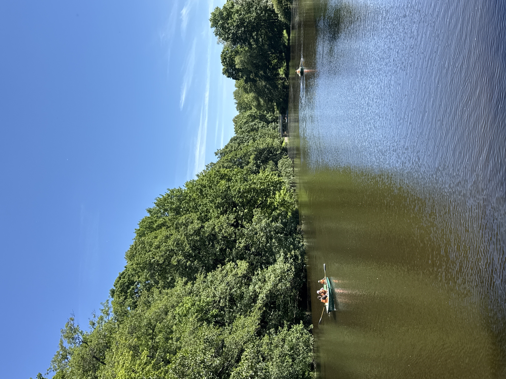 A scenic view of a calm river in a park in Saint Petersburg, Russia, on a clear, sunny day. Dense green trees line the left bank of the river, with a few more trees visible on the right bank in the distance, partially obscuring a small arched bridge. Two small boats are on the water. In the foreground, a rowboat with at least three people wearing life jackets is being rowed across the river. Further in the distance, a single person is in another rowboat. The sky is a bright, clear blue with a few wispy white clouds. The water reflects the blue sky and green trees, creating a serene atmosphere.