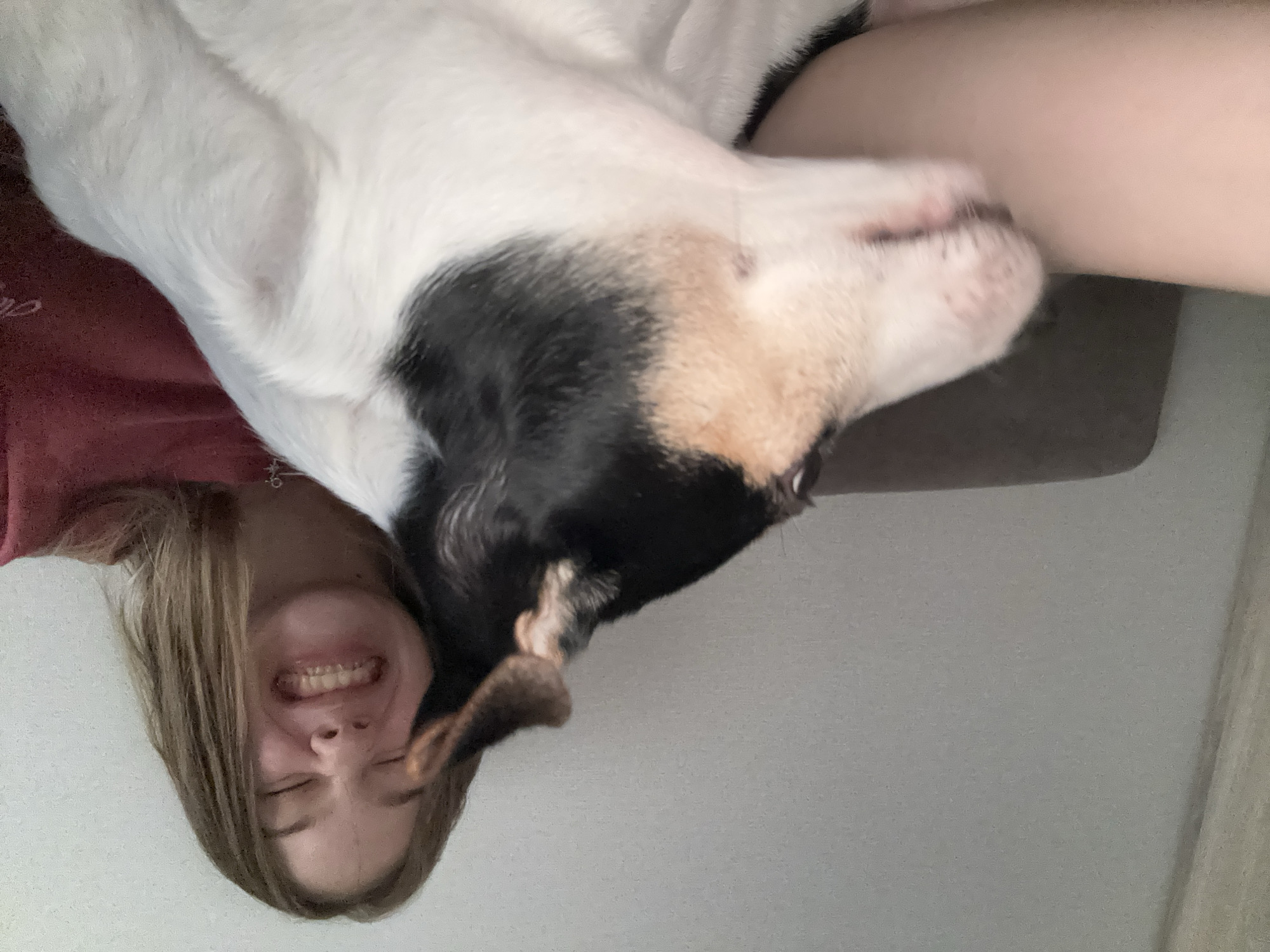 In an indoor, dimly lit setting, a young female with blonde hair is smiling widely, her eyes closed, as a tri-colored dog with white, black, and tan markings nuzzles her face. The female is wearing a reddish-pink shirt, and her left arm is visible, resting on a dark couch. The dog's head and part of its body are in the foreground, obscuring some of the female's face and her arm. The background appears to be a plain, light-colored wall. The scene captures a moment of affectionate interaction between the girl and her dog.