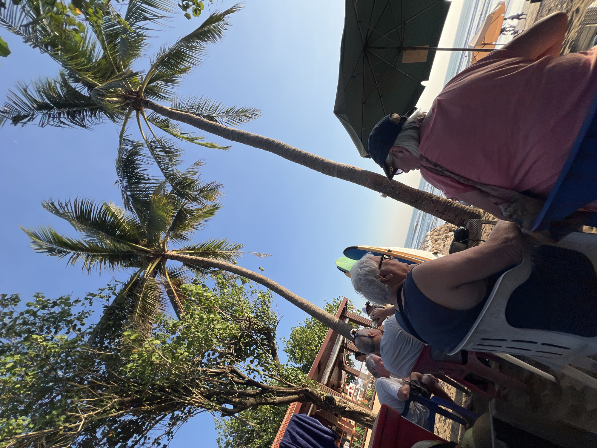 In Kuta, Indonesia, a group of individuals are seated at an outdoor dining area on a sandy beach, with palm trees and the ocean in the background. The scene appears to be a casual gathering, possibly a cafe or restaurant, with several people sitting on chairs. Two palm trees dominate the foreground, their fronds casting shadows on the sand. In the mid-ground, several people are seated, facing away from the camera. One man is wearing a blue tank top, another a gray t-shirt. Two surfboards stand upright near the seated individuals. In the background, the ocean is visible with a few people walking along the shore. An umbrella shades a table. The sky is clear and blue, suggesting a sunny day.