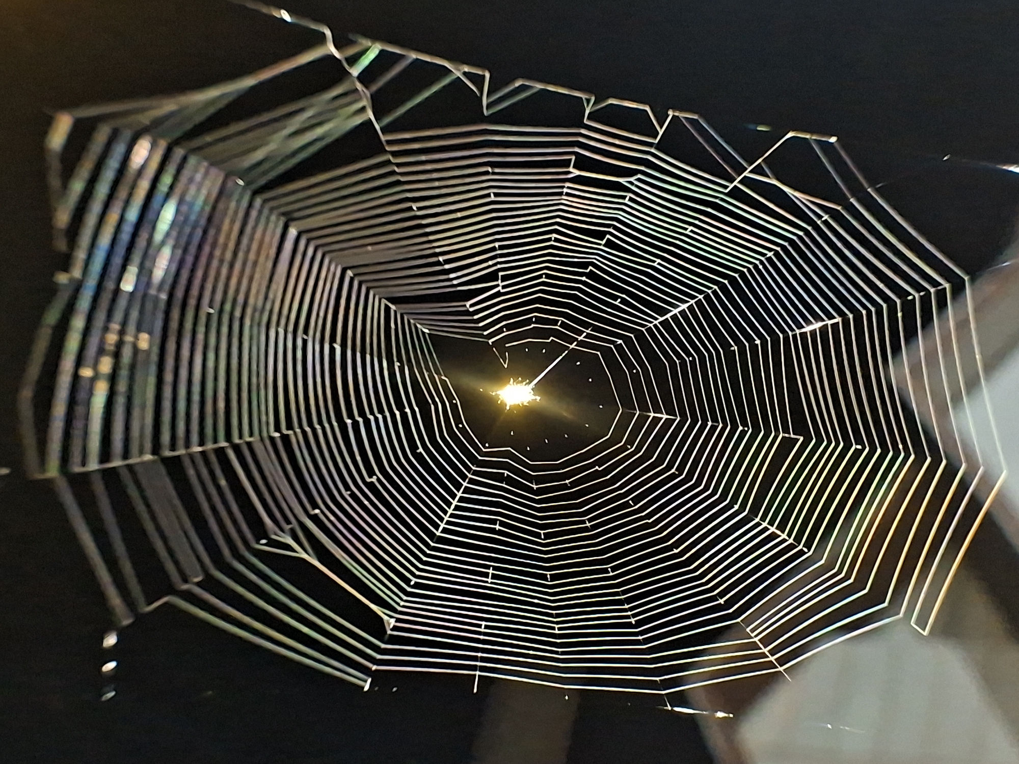 A close-up photograph depicts a spiderweb prominently displayed against a dark background. The web is intricate, with many concentric, connected circles radiating from the center. The web strands are thin and light-colored, reflecting light in an iridescent manner. The center of the web is illuminated with a bright burst of light. The location is not discernible from the image and cannot be ascertained as the city of Lhokseumawe, Indonesia. There are no people, interactions, or subjects visible in the image besides the spiderweb.