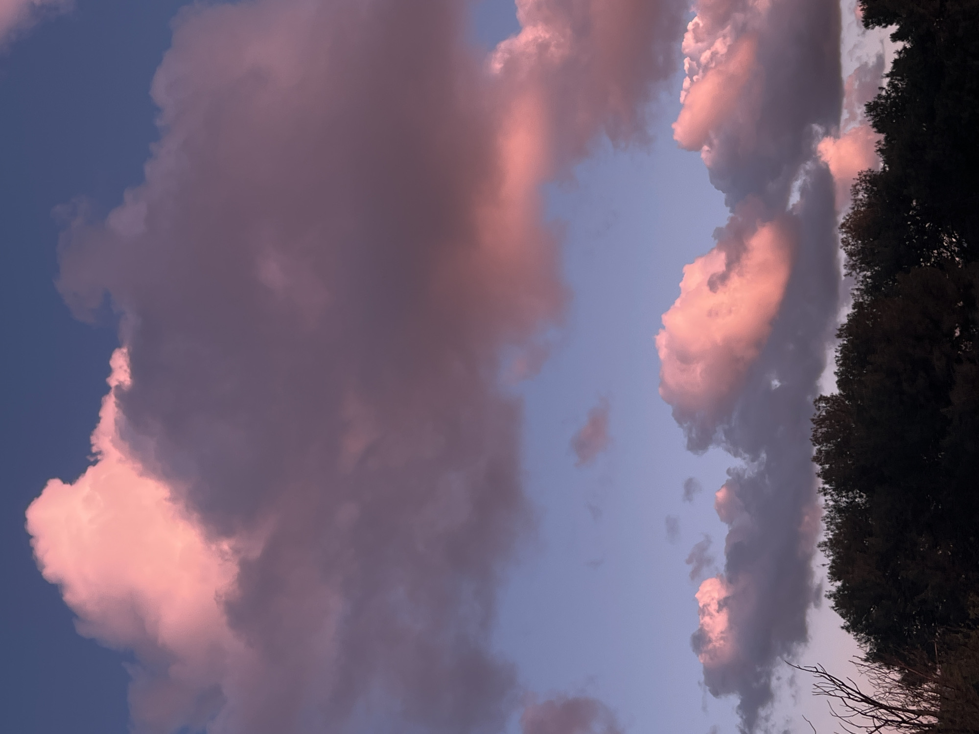 The image captures a twilight sky with pink-tinged clouds, adjacent to dark trees. There is no specific evidence to definitively place the image in Kiryat Bialik, Israel. The image shows the sky with clouds, and the top of trees in the right side. The light suggests either sunset or sunrise.