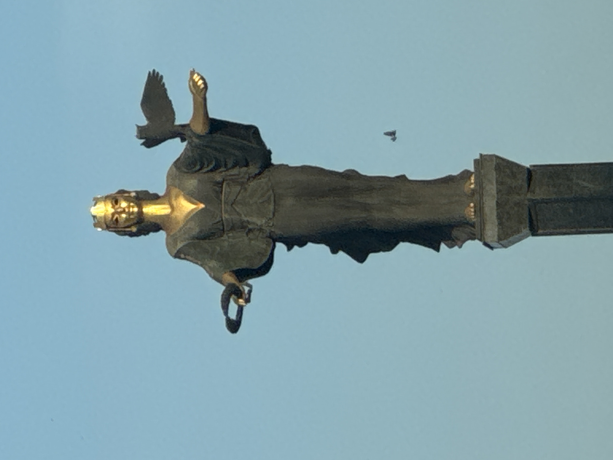 The image displays a monumental statue of a female figure, oriented vertically against a clear, light blue sky. The statue appears to be crafted from dark material, possibly bronze or stone, with striking golden accents on the face, crown, and hands.
The regal figure wears a golden crown, which catches the light, and her face is also golden. Her attire consists of flowing, dark garments. Her left arm (viewer's left) is outstretched, holding a bird, likely a dove, with its wings spread as if in flight. Her right arm (viewer's right) is bent, and she holds a circular object, possibly a wreath or a ring, which also has golden elements. The statue stands upon a tall, dark, rectangular pedestal.
In the upper right portion of the image, a small, dark, indistinct object is visible in the sky, possibly a bird or a drone. The sky is uniformly clear and light blue, suggesting bright, cloudless daytime conditions. No text is visible on the statue or in the surrounding environment. Given the context, this is the Saint Sofia Monument located in Sofia, Bulgaria, conveying a sense of majesty and symbolic significance.