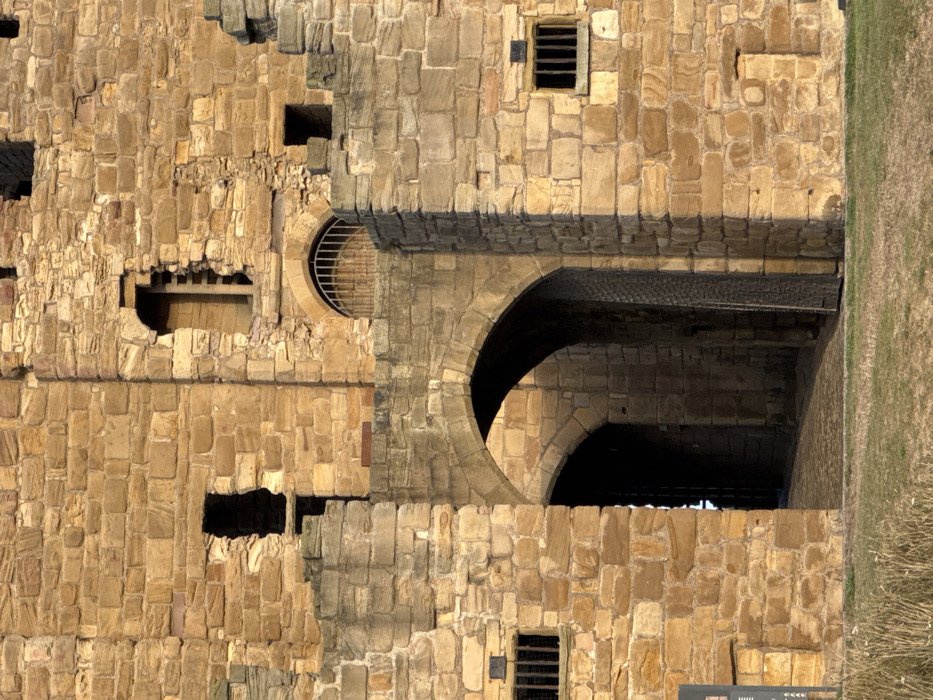 The image displays a detailed view of the stone architecture of Tynemouth Priory and Castle, located in North Tyneside, United Kingdom. The scene is dominated by extensive walls constructed from rough-hewn, light brown and grey sandstone blocks, showing evidence of significant weathering and repair.
In the lower central area, two prominent arched passageways are visible. The foremost archway is deep and dark, revealing a paved path extending inward. To the right of this primary arch, a heavy, vertically planked wooden door or gate is partially open, leaning against the inner wall of the passage. A secondary, smaller arch is visible deeper within and to the left of the main opening.
Above these arches, the walls continue upward, featuring several irregular openings and recesses. A higher arched opening with a metal grate is positioned above the main archway. To the left, a large, irregular opening in the upper wall reveals what appears to be a portion of an internal stone staircase. Two smaller, rectangular openings fitted with vertical metal bars are situated on the lower parts of the left and right walls. The overall structure exhibits battlements and eroded sections along its upper edge.
The scene is illuminated by direct sunlight, casting distinct shadows that highlight the texture of the stone and create deep contrast within the archways and recesses. The ground in the immediate foreground consists of dry, patchy grass and sparse vegetation. No individuals, animals, or active subjects are present in the frame.