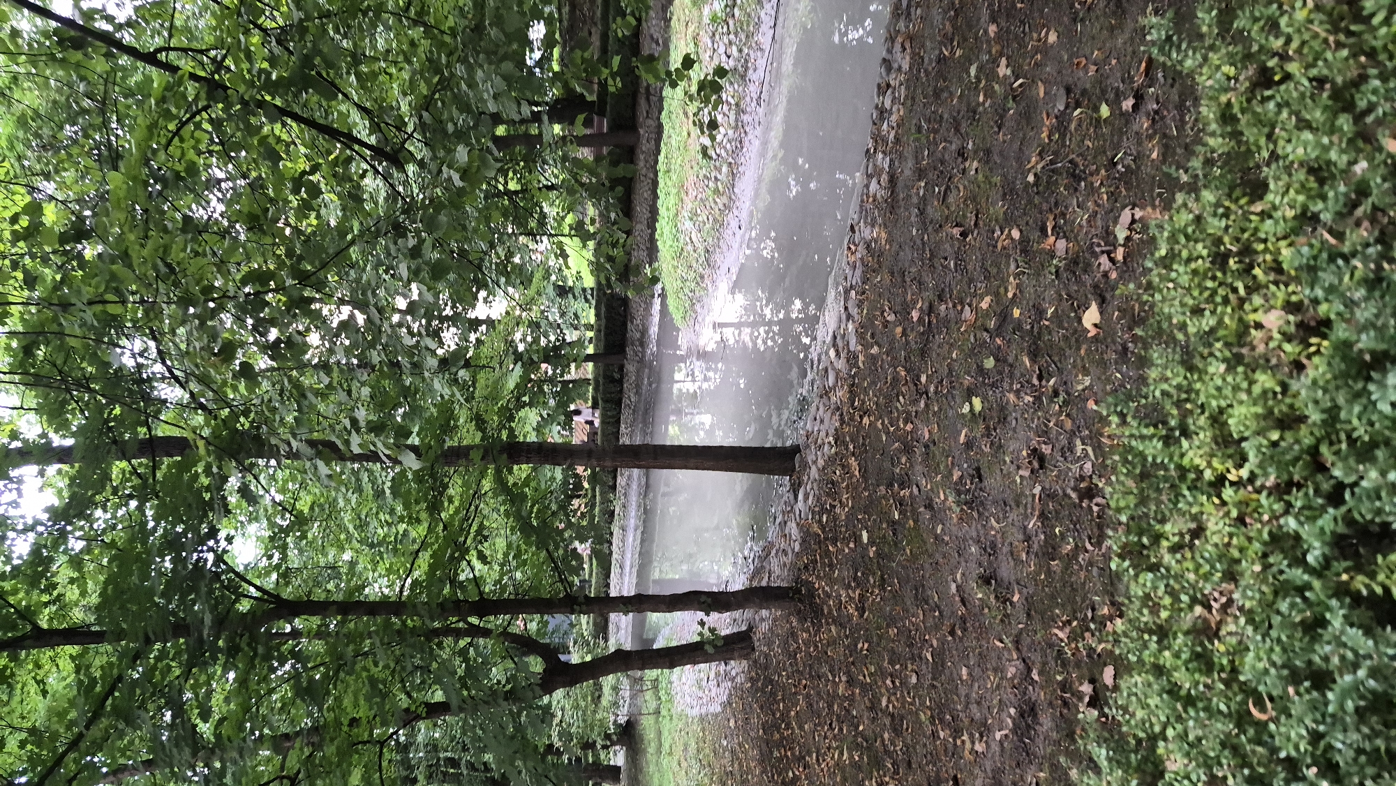 The image depicts a tranquil canal or small river flowing through a park setting in Vladikavkaz, Russia. The water is a murky grey, reflecting the overcast sky and the surrounding lush green foliage of mature trees. Along the banks of the canal, there are strategically placed stones and manicured bushes, creating a neat and orderly border. The foreground features a patch of ground covered in fallen leaves and damp earth, with a dense growth of green bushes in the lower section of the frame. In the background, beyond the trees and canal, a hedge row is visible, and further back, there are hints of buildings or structures, suggesting an urban park environment. The overall atmosphere is one of peaceful, natural beauty within a city. There are no people clearly visible in the frame, contributing to the sense of quietude.