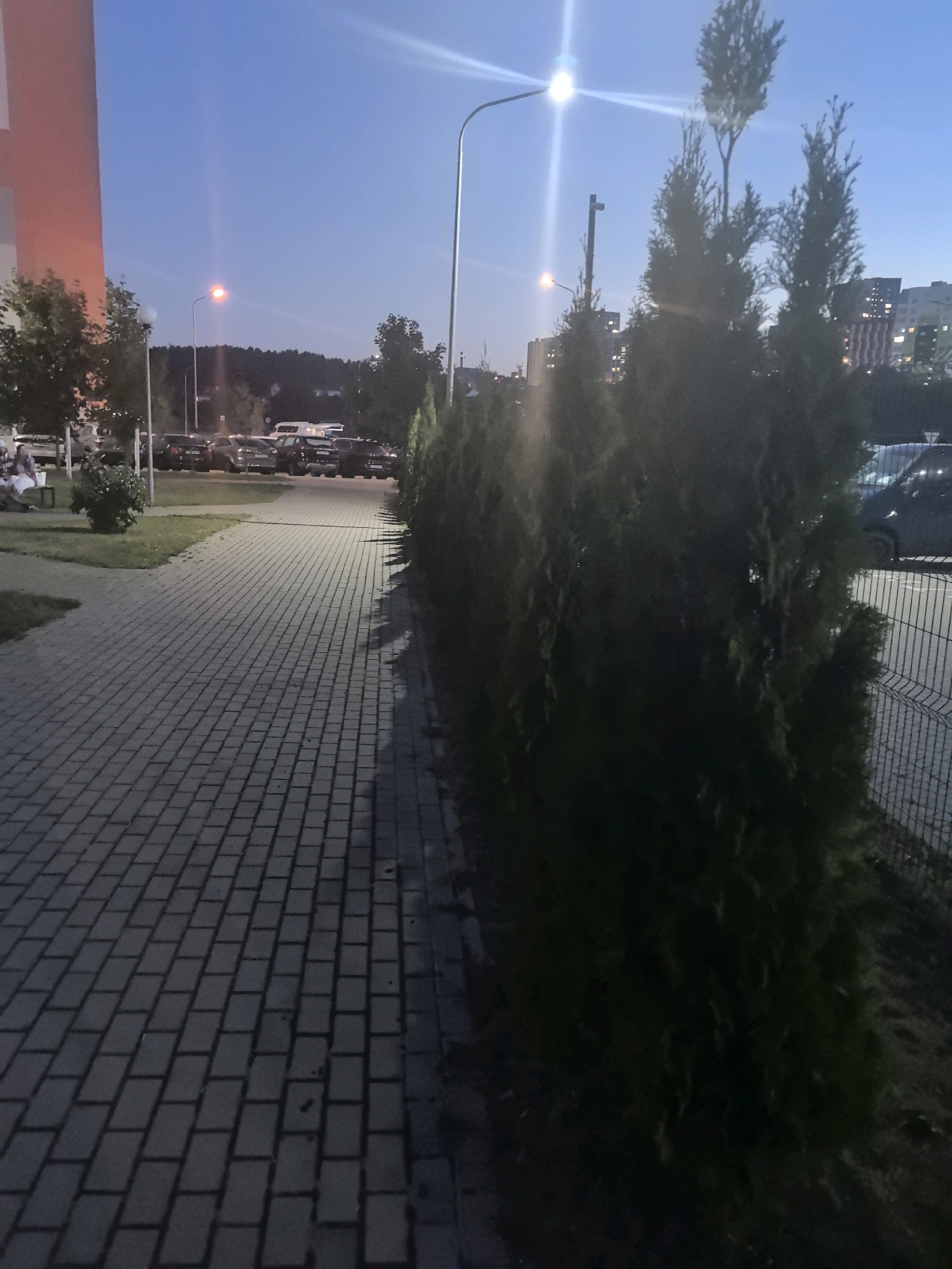 The image depicts a paved walkway in the vicinity of a building and a parking lot. The walkway is constructed of gray rectangular pavers laid in a diagonal pattern. To the right of the walkway, a line of dark green, coniferous trees forms a hedge. Beyond the trees, a chain-link fence is visible. In the background, a row of parked cars, including SUVs and vans, is present. The sky is a deep blue, indicating either early morning or late evening. Streetlights, one with a bright light and lens flare, are present in the scene, illuminating the area. The overall setting appears to be a residential or commercial area within Бараўлянскі сельскі Савет, Belarus. There are no people prominently featured in the image, though a small group of individuals can be faintly seen sitting on a bench to the far left.