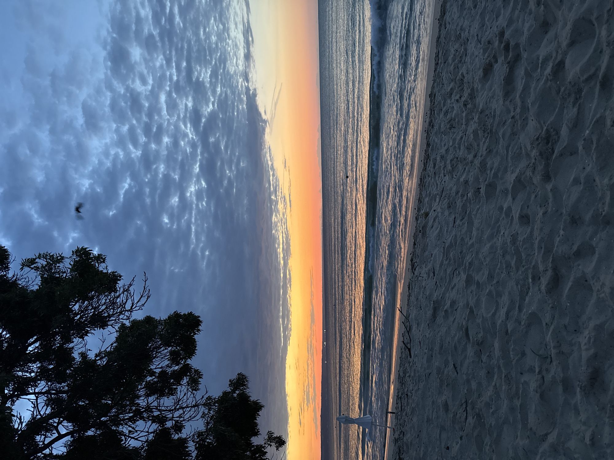 The image depicts a serene beach scene at dusk or dawn in Kranevo, Bulgaria. The foreground is dominated by a sandy beach with subtle textures and scattered small pieces of driftwood. A lone white beach umbrella stands on the left side of the frame, partially obscured by shadows. The sea occupies the middle ground, with gentle waves lapping at the shore, reflecting the warm hues of the sky. The horizon is marked by a distant landmass and a few faint lights. The sky transitions from a warm orange and yellow gradient near the horizon, indicative of sunrise or sunset, to a deep blue with scattered, textured clouds overhead. A dark silhouette of tree branches extends into the upper left corner of the image, providing a framing element. The overall atmosphere is calm and tranquil.