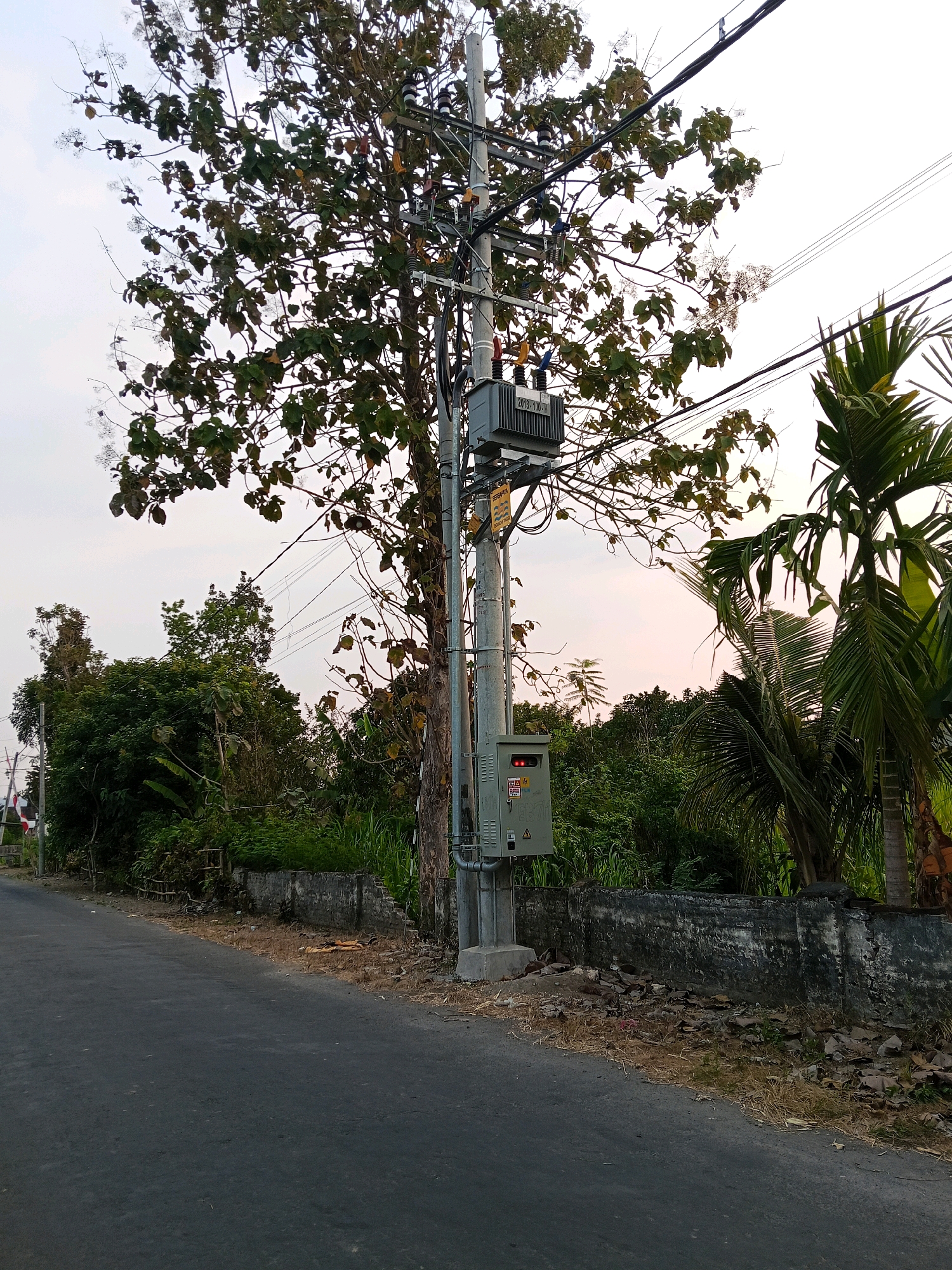 An asphalt road curves to the left in the foreground, with a low, weathered concrete wall running along its right edge. Behind the wall, dry grass and fallen leaves litter the ground. A utility pole stands on the right side of the road, adorned with a gray transformer box and a smaller electrical panel with a red indicator light. Lush green vegetation, including trees and tall grasses, forms a dense backdrop. Palm trees with large fronds are visible to the right of the utility pole. The sky is overcast with a pale, soft light. The scene appears to be a residential or rural area in Gogodeso, Indonesia.
